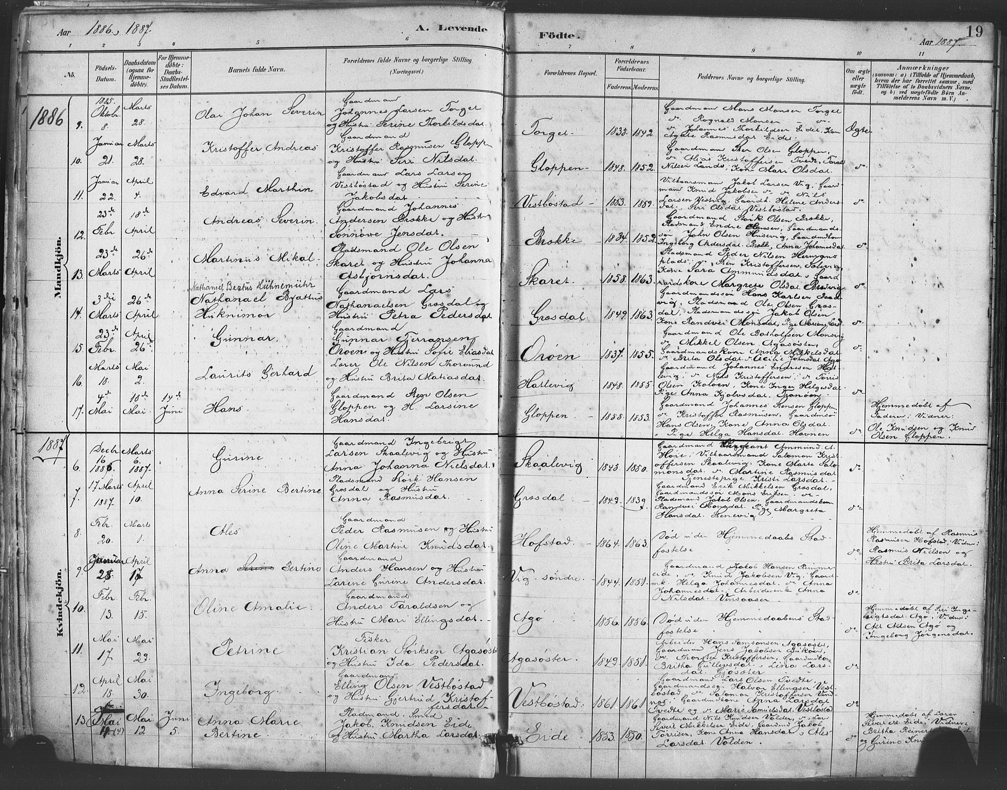 Fitjar sokneprestembete, SAB/A-99926: Parish register (official) no. A 2, 1882-1899, p. 19