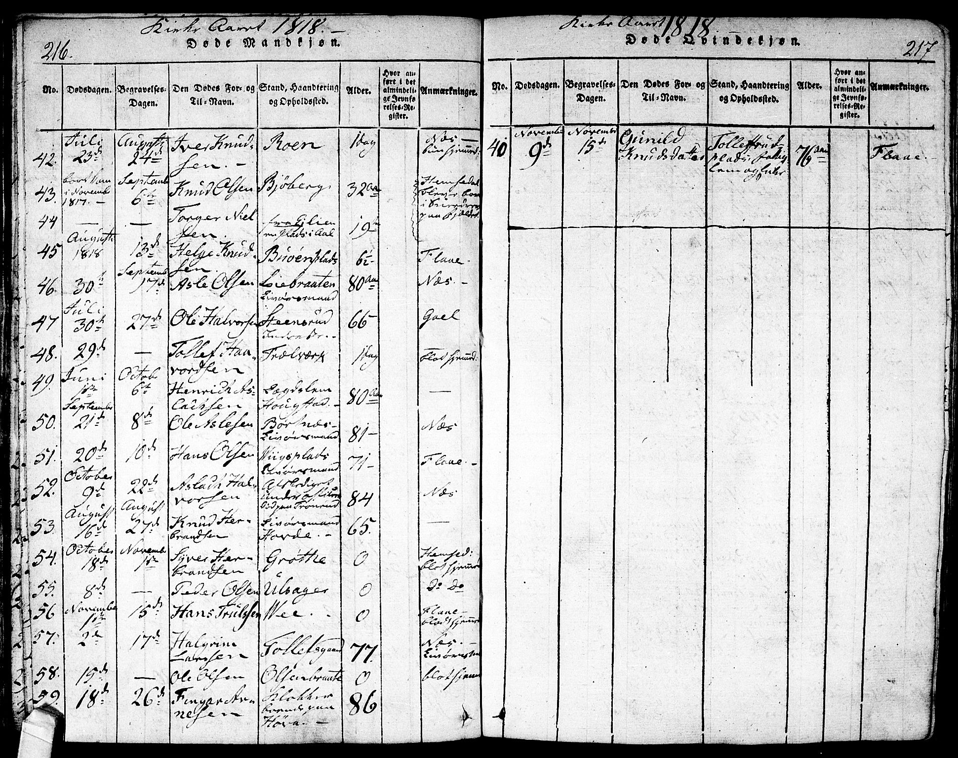 Nes kirkebøker, AV/SAKO-A-236/F/Fa/L0007: Parish register (official) no. 7, 1815-1823, p. 216-217