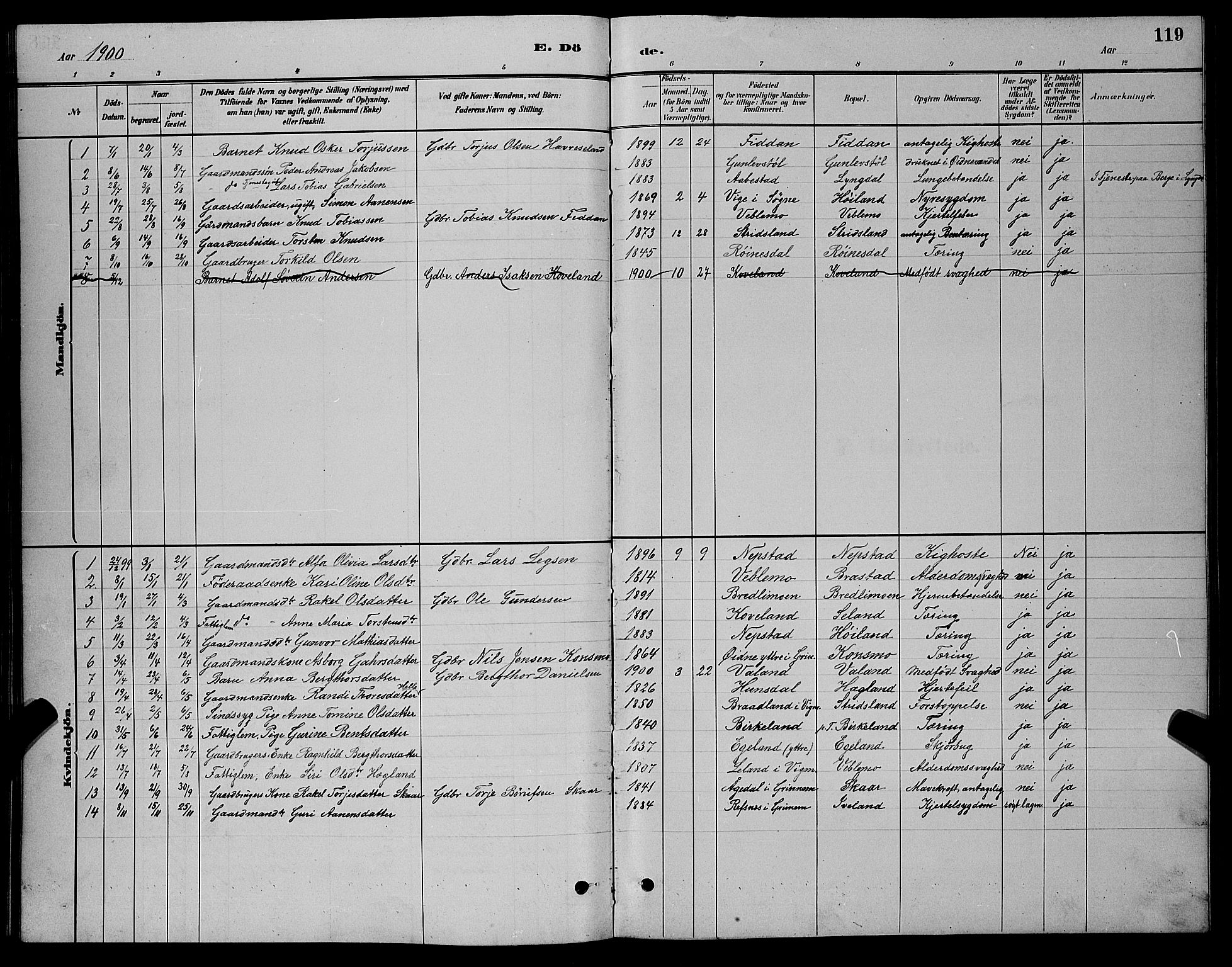 Nord-Audnedal sokneprestkontor, AV/SAK-1111-0032/F/Fb/Fba/L0003: Parish register (copy) no. B 3, 1881-1900, p. 119