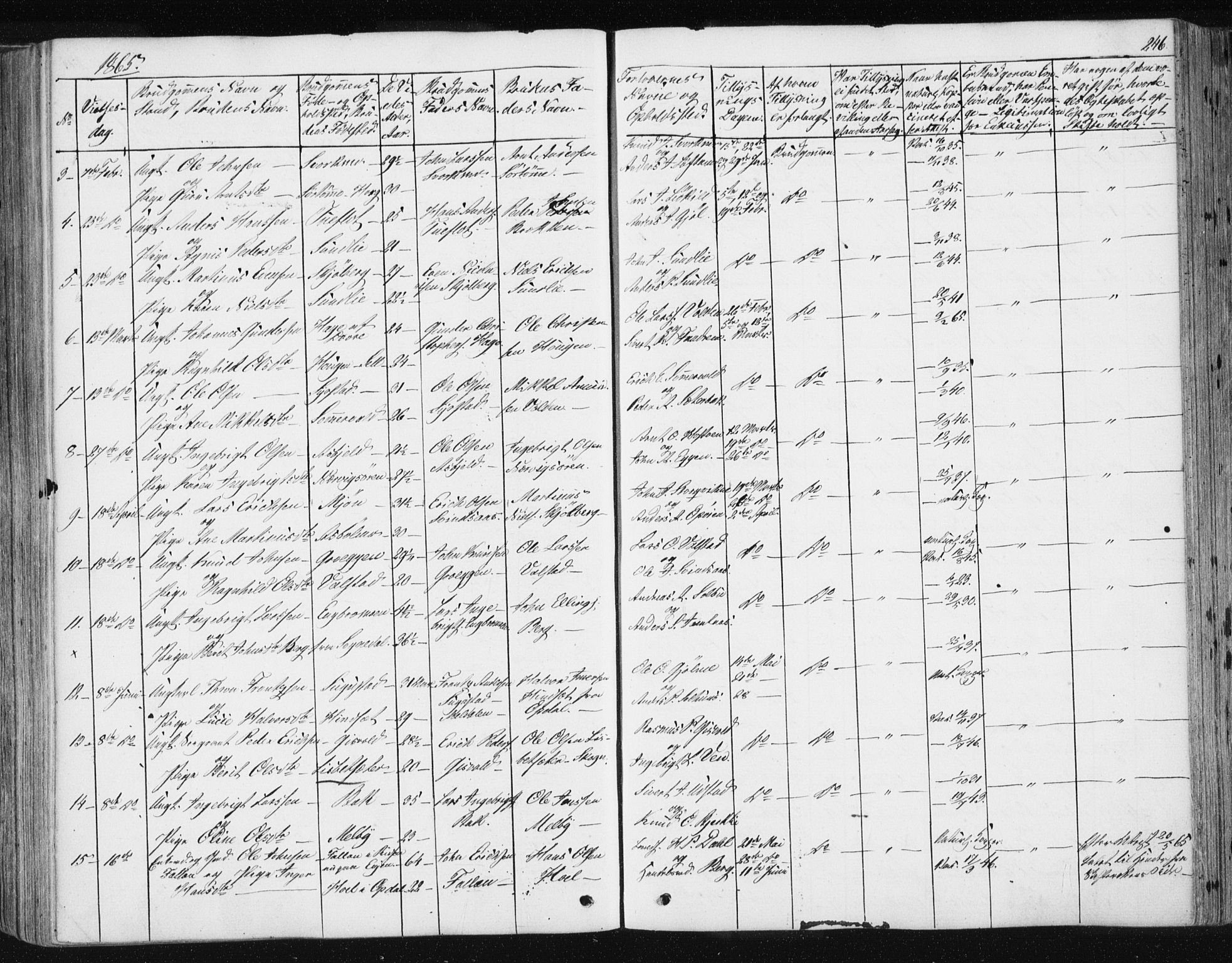 Ministerialprotokoller, klokkerbøker og fødselsregistre - Sør-Trøndelag, SAT/A-1456/668/L0806: Parish register (official) no. 668A06, 1854-1869, p. 246