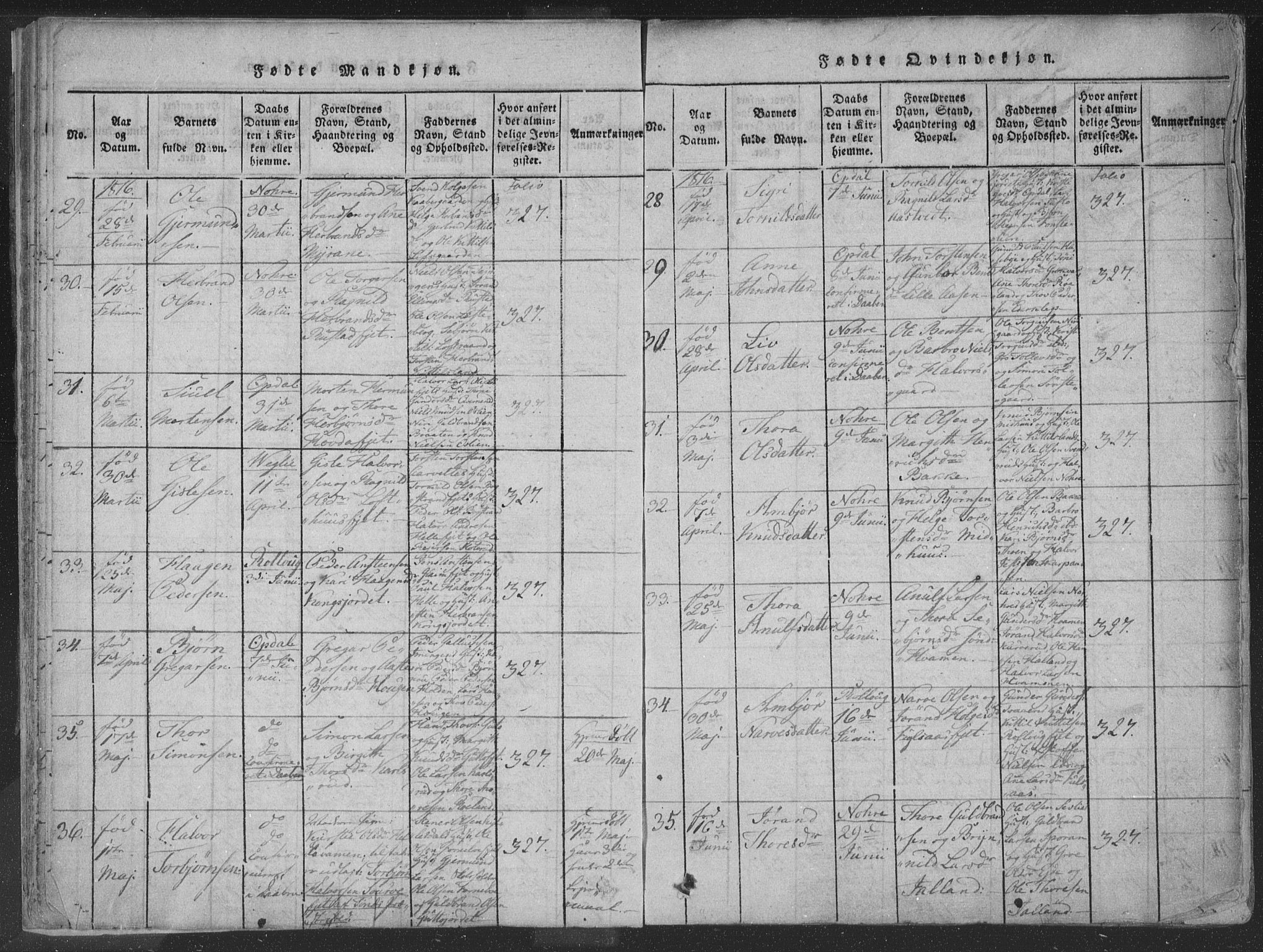 Rollag kirkebøker, AV/SAKO-A-240/F/Fa/L0006: Parish register (official) no. I 6, 1814-1828, p. 13