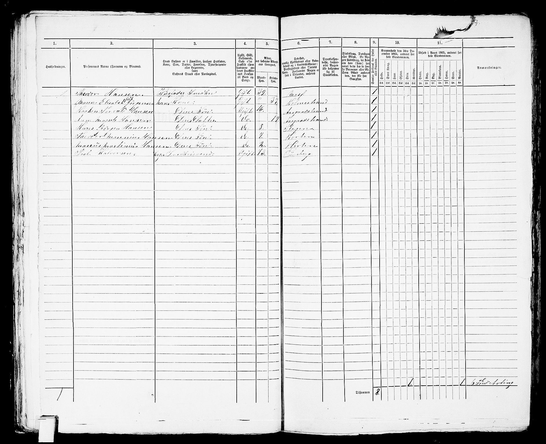 RA, 1865 census for Horten, 1865, p. 887