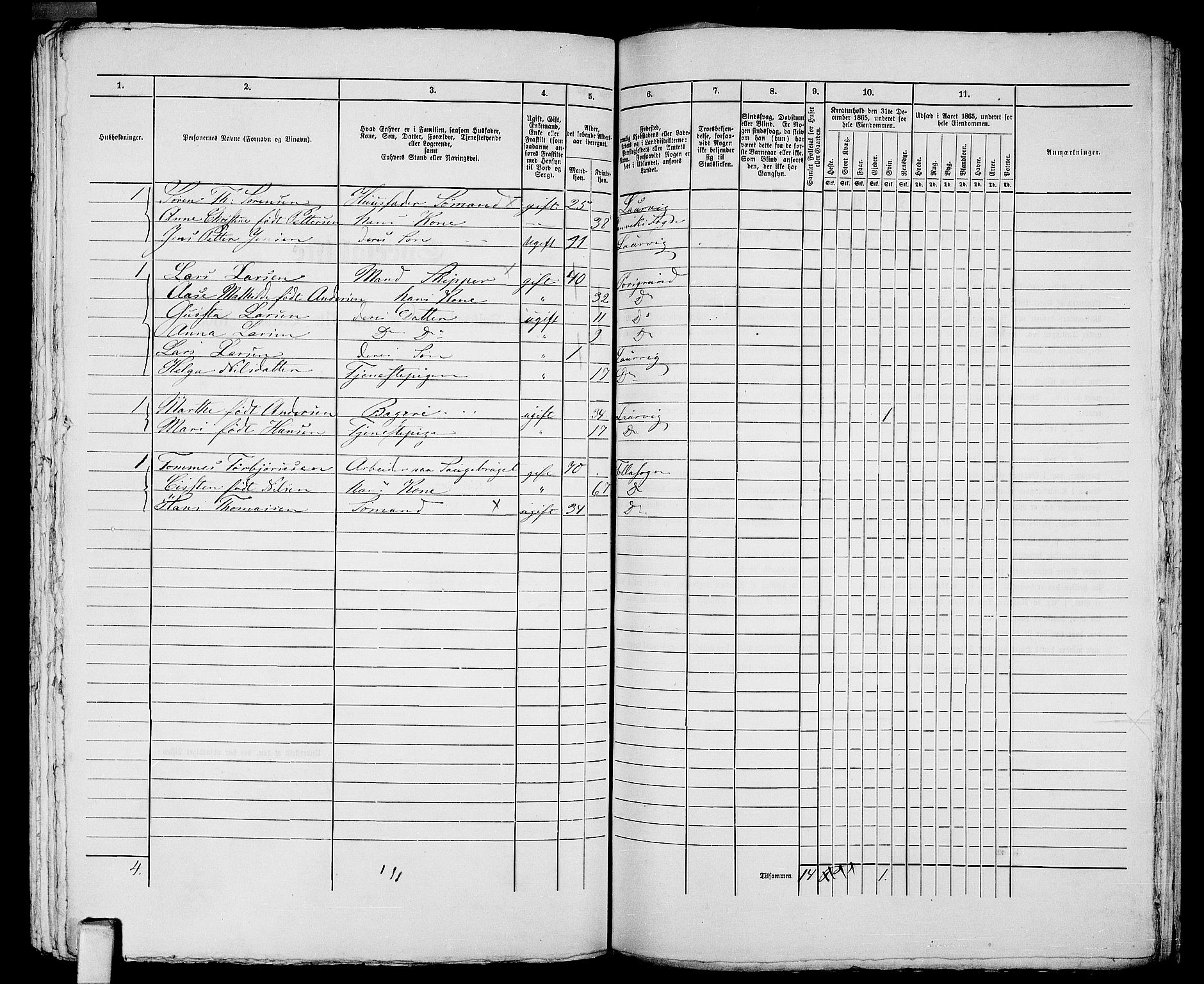 RA, 1865 census for Larvik, 1865, p. 1034