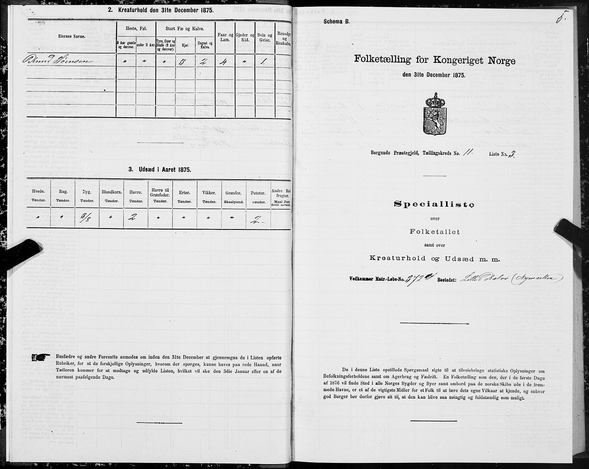 SAT, 1875 census for 1531P Borgund, 1875, p. 6005