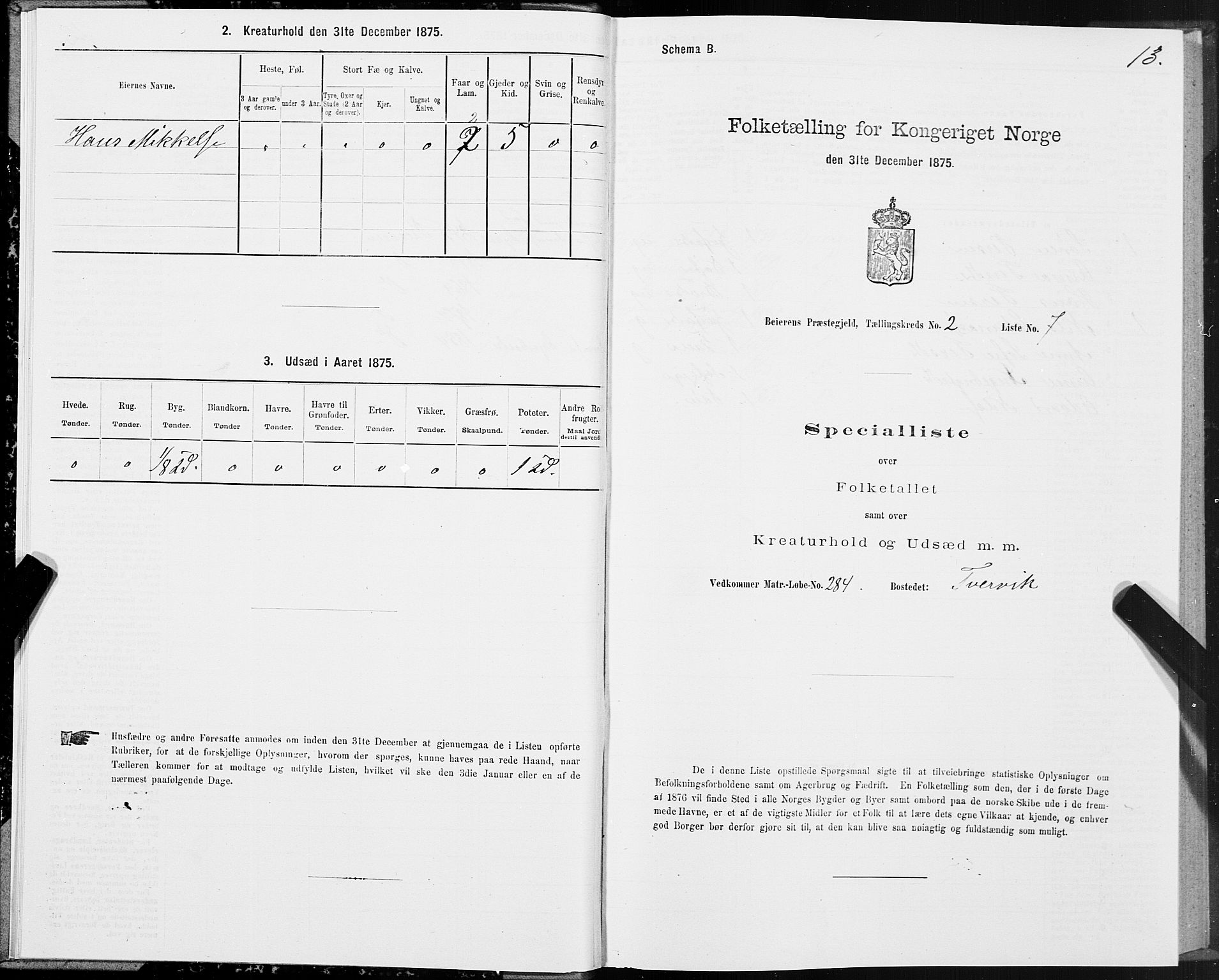 SAT, 1875 census for 1839P Beiarn, 1875, p. 2013