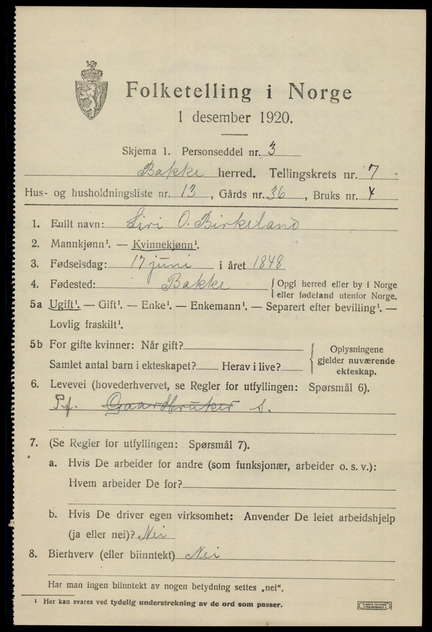 SAK, 1920 census for Bakke, 1920, p. 2374