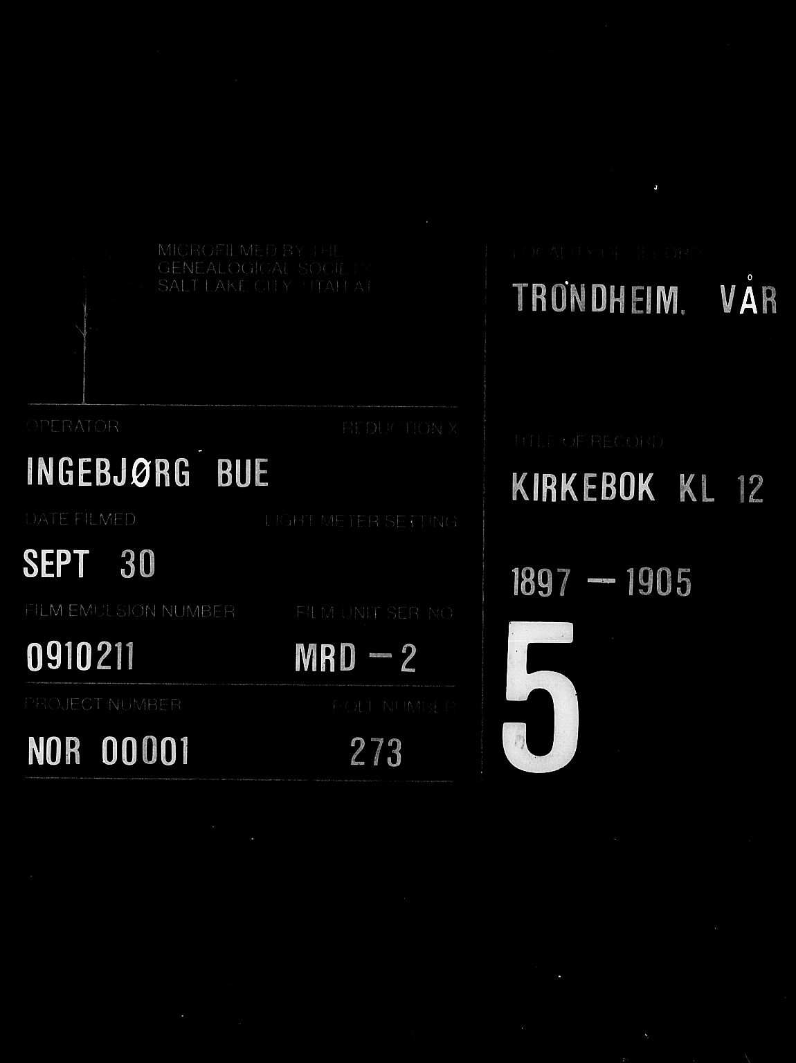 Ministerialprotokoller, klokkerbøker og fødselsregistre - Sør-Trøndelag, AV/SAT-A-1456/602/L0144: Parish register (copy) no. 602C12, 1897-1905