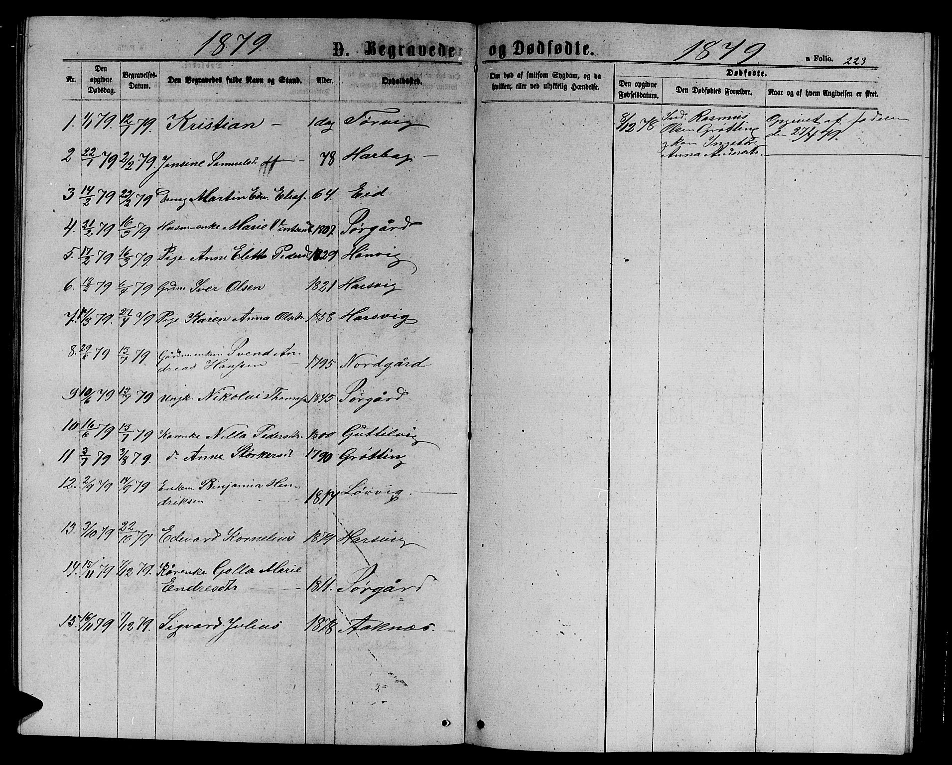 Ministerialprotokoller, klokkerbøker og fødselsregistre - Sør-Trøndelag, AV/SAT-A-1456/656/L0695: Parish register (copy) no. 656C01, 1867-1889, p. 223