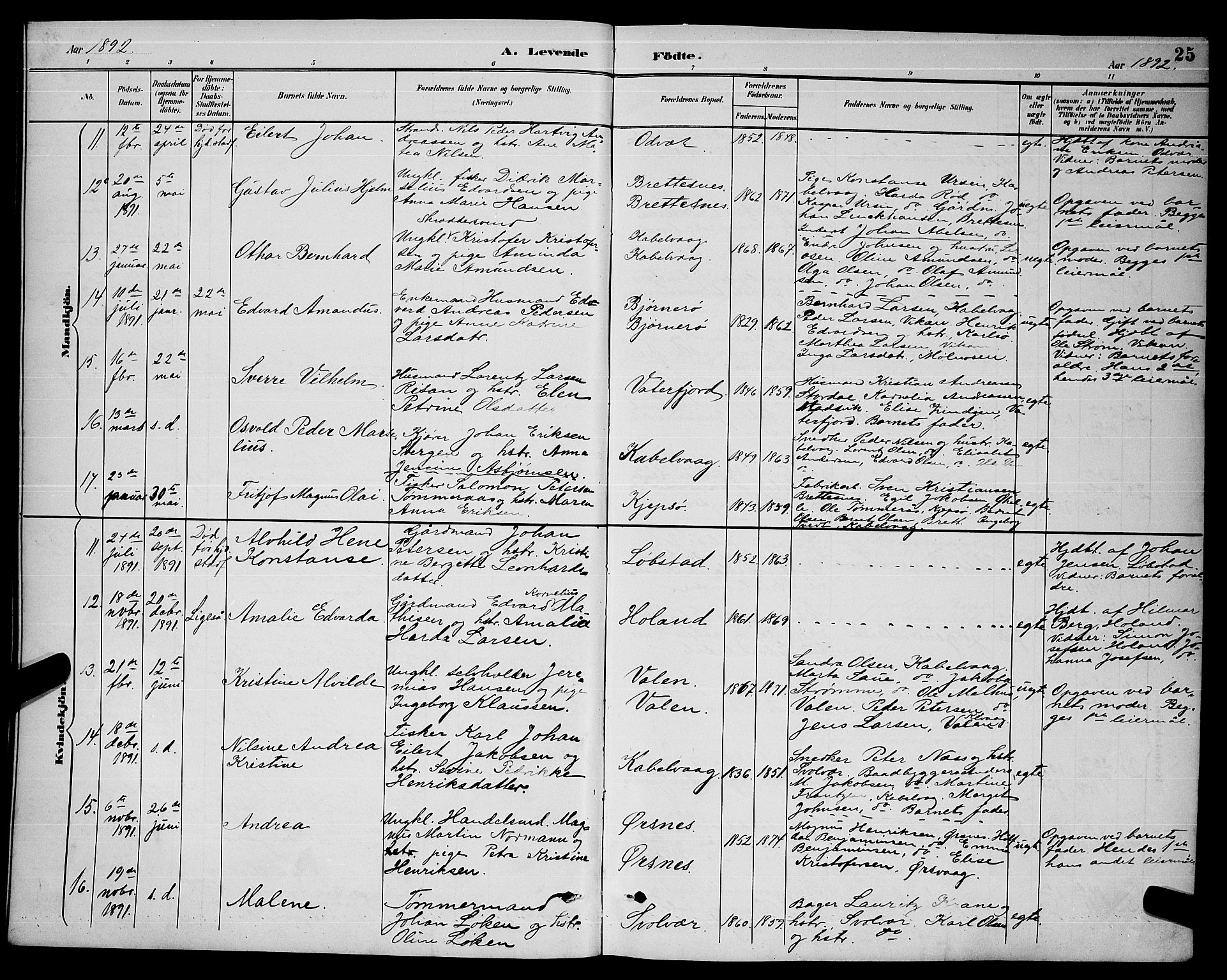 Ministerialprotokoller, klokkerbøker og fødselsregistre - Nordland, AV/SAT-A-1459/874/L1077: Parish register (copy) no. 874C06, 1891-1900, p. 25