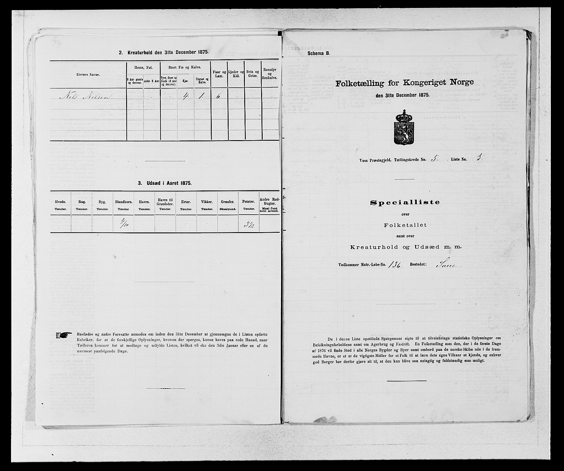 SAB, 1875 census for 1235P Voss, 1875, p. 589