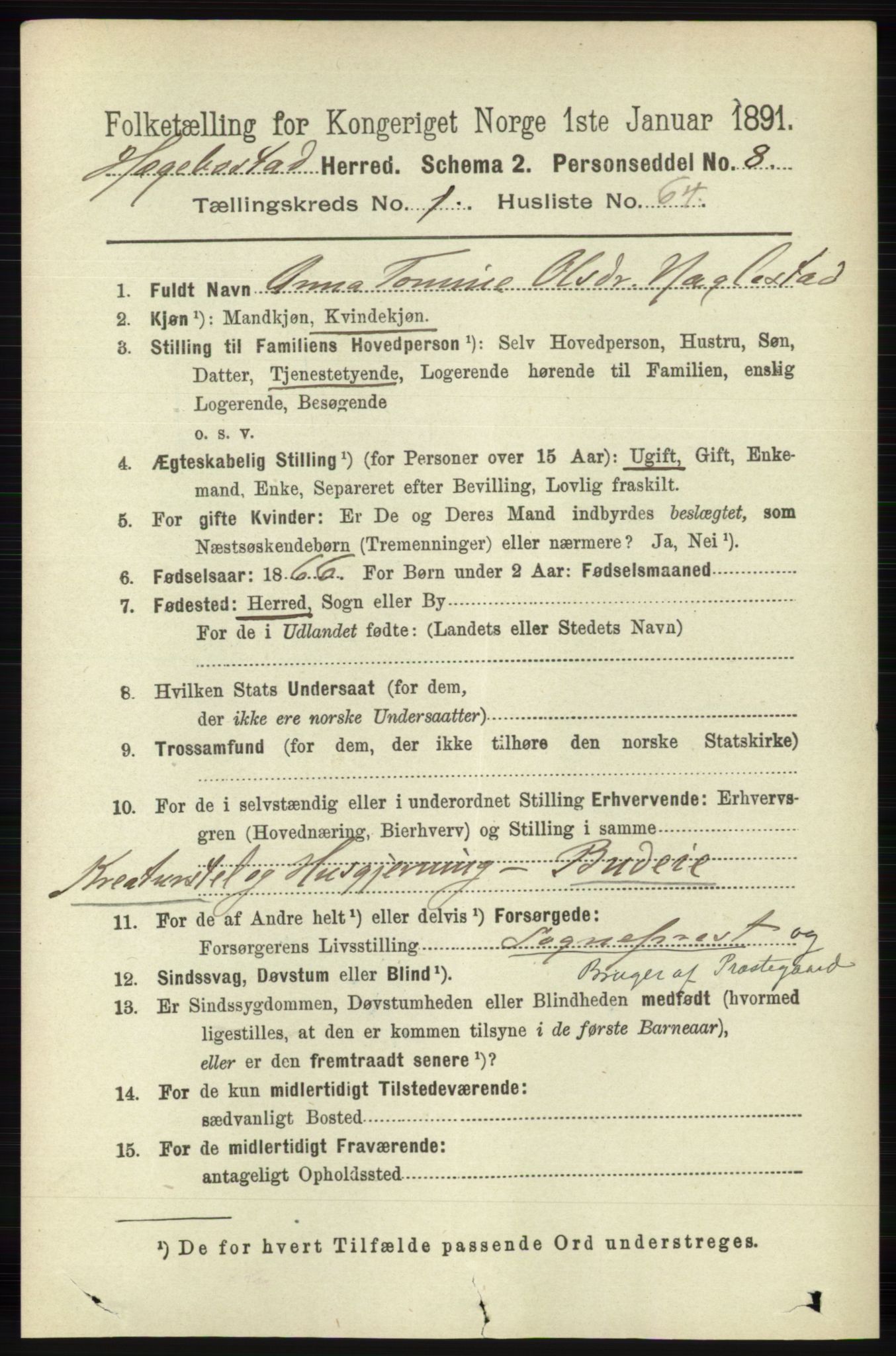 RA, 1891 census for 1034 Hægebostad, 1891, p. 431