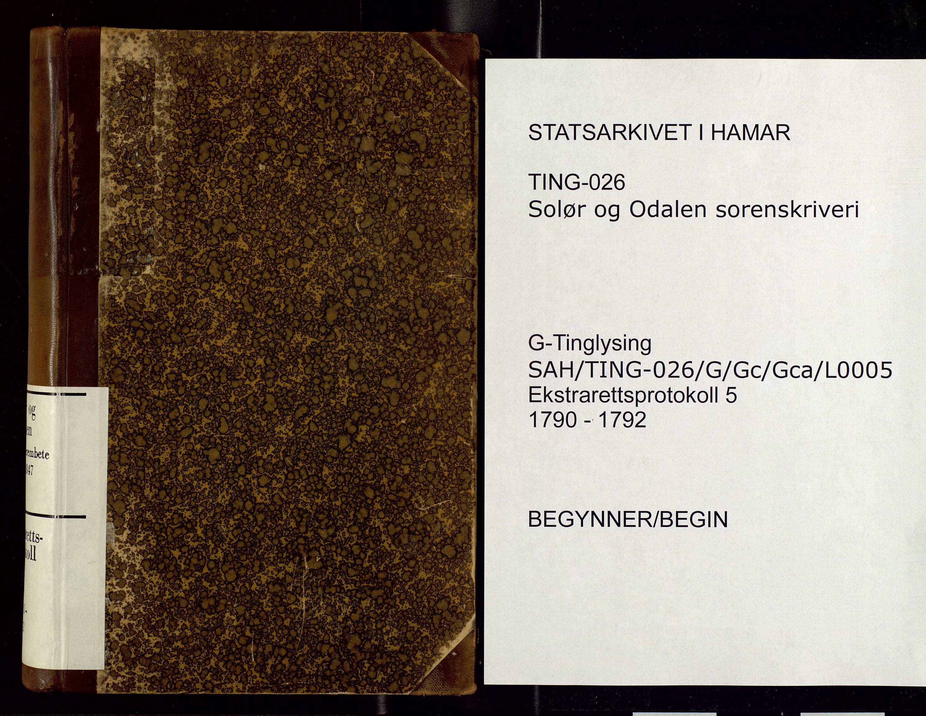 Solør og Odalen sorenskriveri, AV/SAH-TING-026/G/Gc/Gca/L0005: Justis- og politisaker, 1790-1792