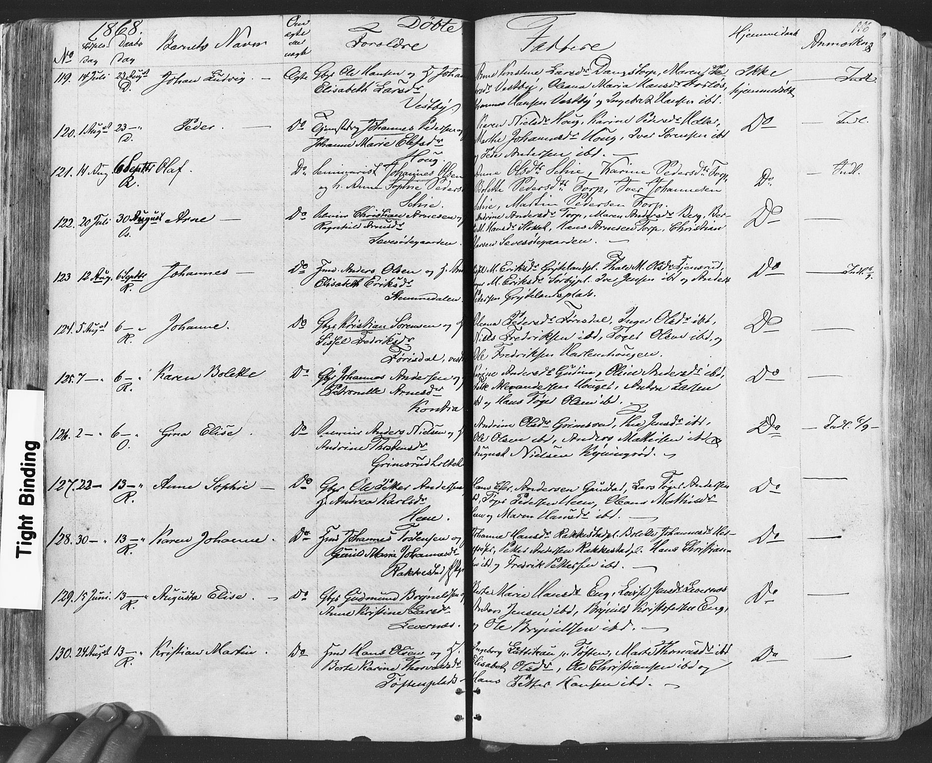 Rakkestad prestekontor Kirkebøker, SAO/A-2008/F/Fa/L0011: Parish register (official) no. I 11, 1862-1877, p. 116