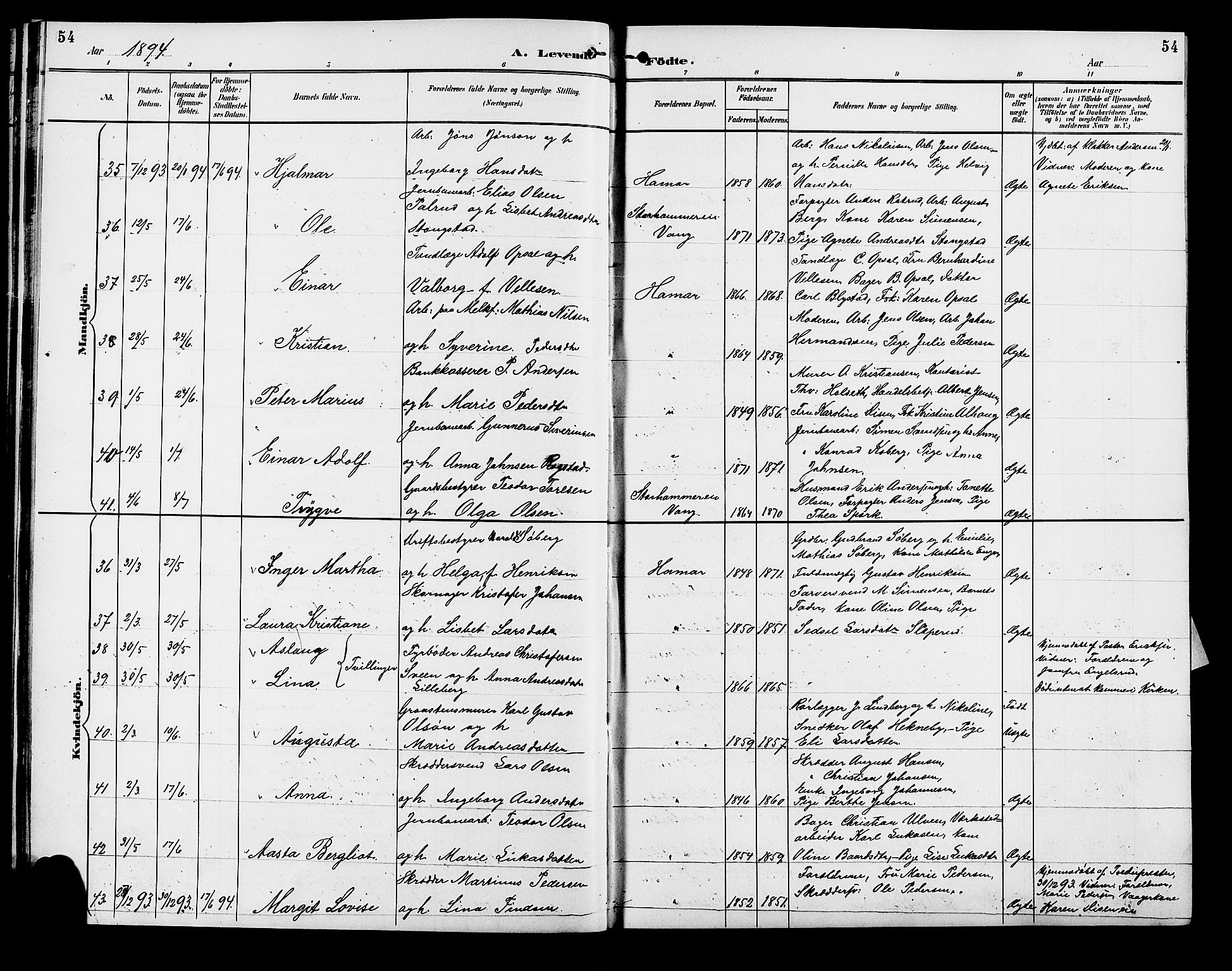 Vang prestekontor, Hedmark, AV/SAH-PREST-008/H/Ha/Hab/L0013: Parish register (copy) no. 13, 1890-1899, p. 54