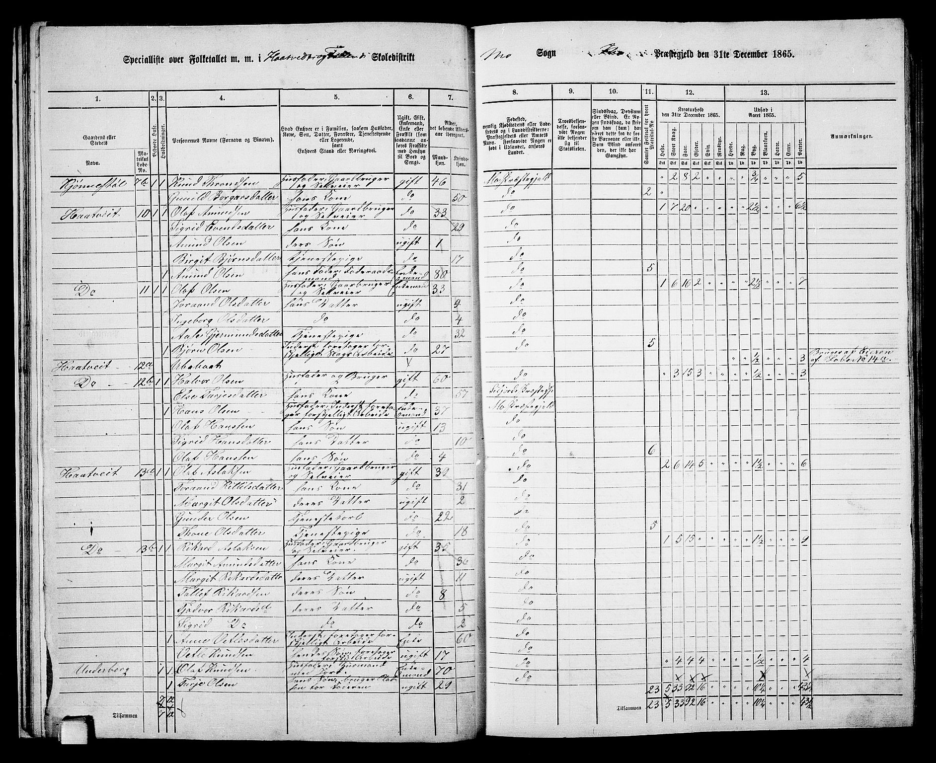 RA, 1865 census for Mo, 1865, p. 23