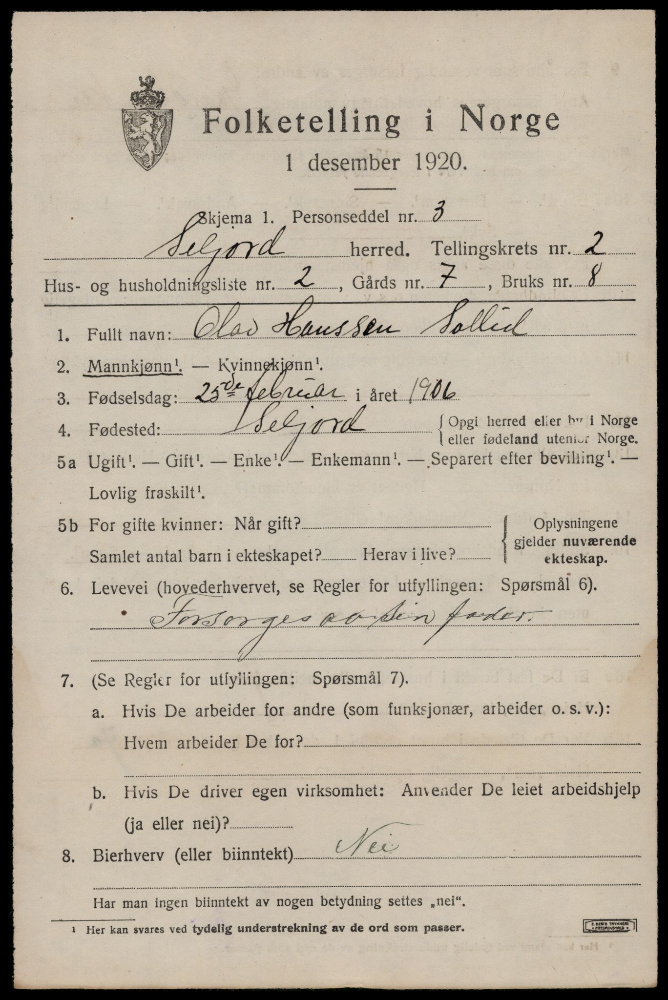 SAKO, 1920 census for Seljord, 1920, p. 1538
