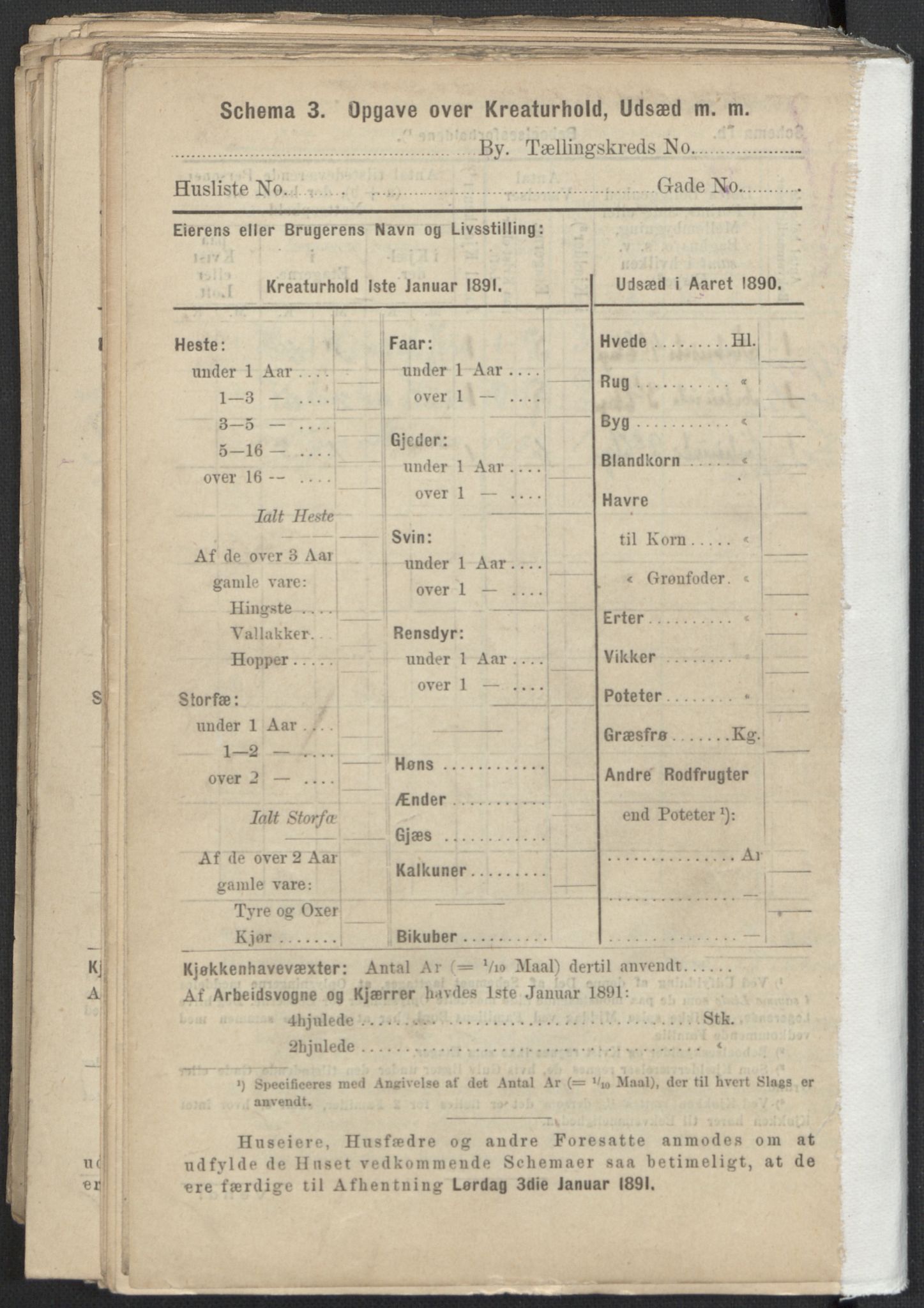RA, 1891 Census for 1301 Bergen, 1891, p. 2946