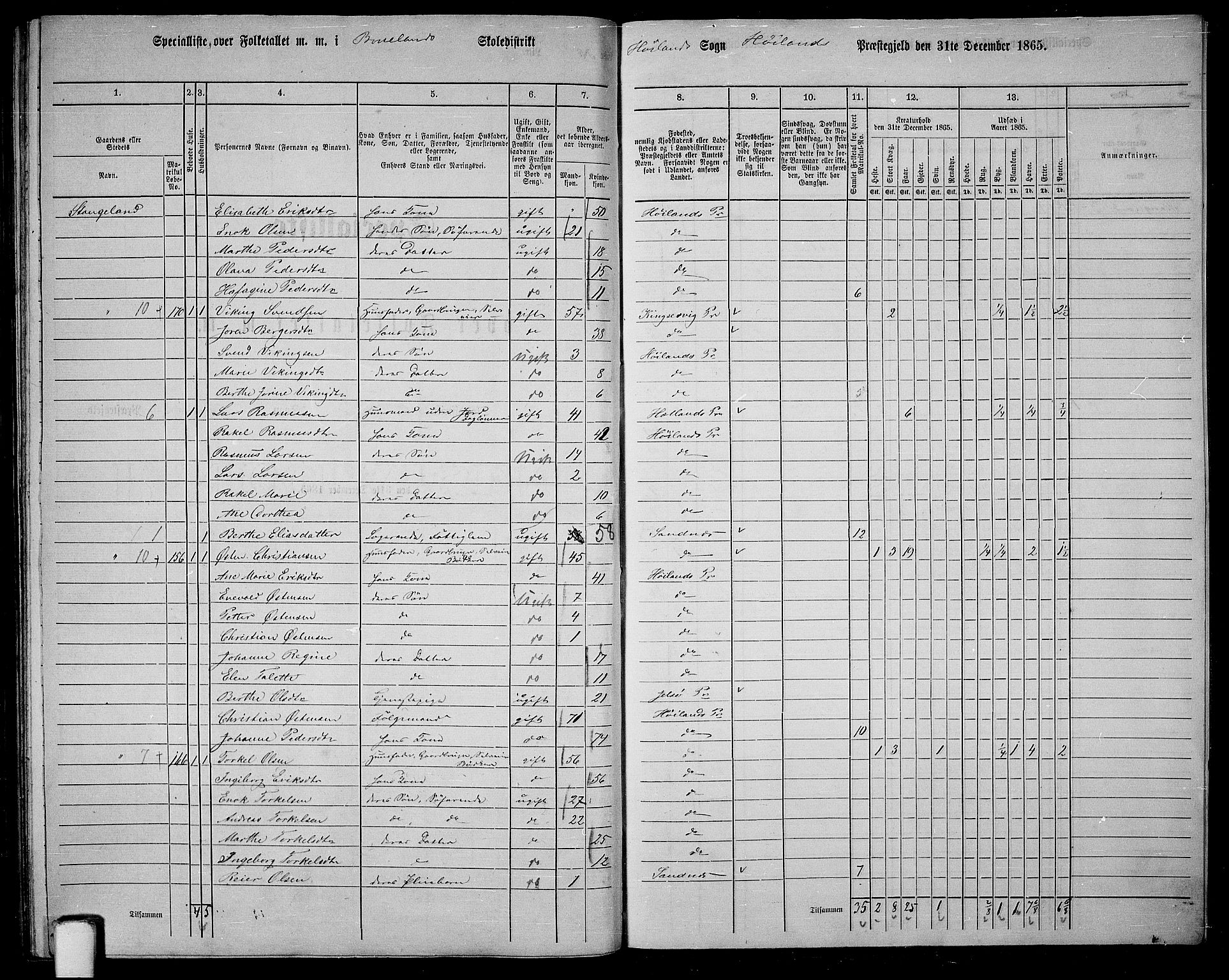 RA, 1865 census for Høyland, 1865, p. 141