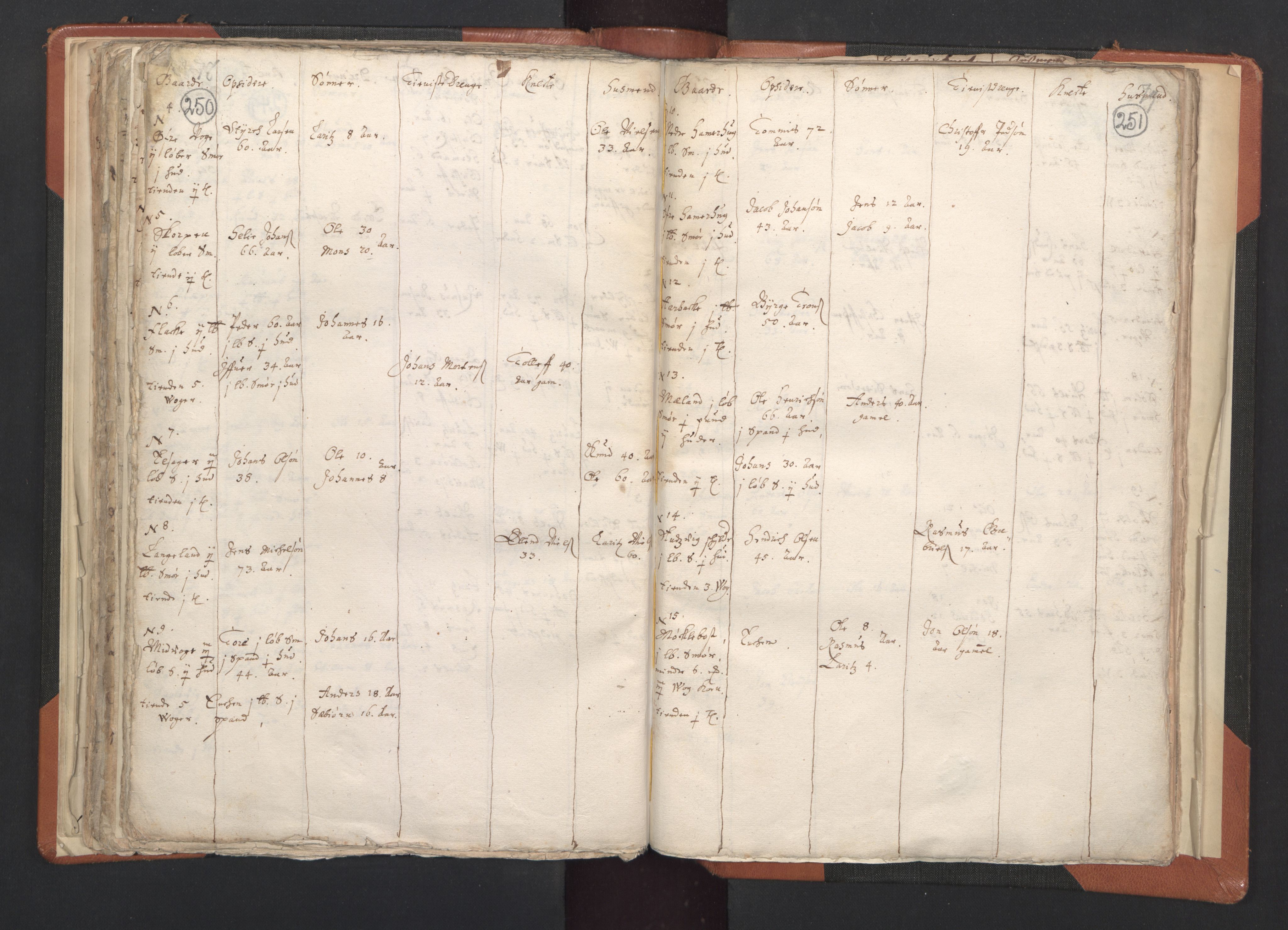 RA, Vicar's Census 1664-1666, no. 20: Sunnhordland deanery, 1664-1666, p. 250-251
