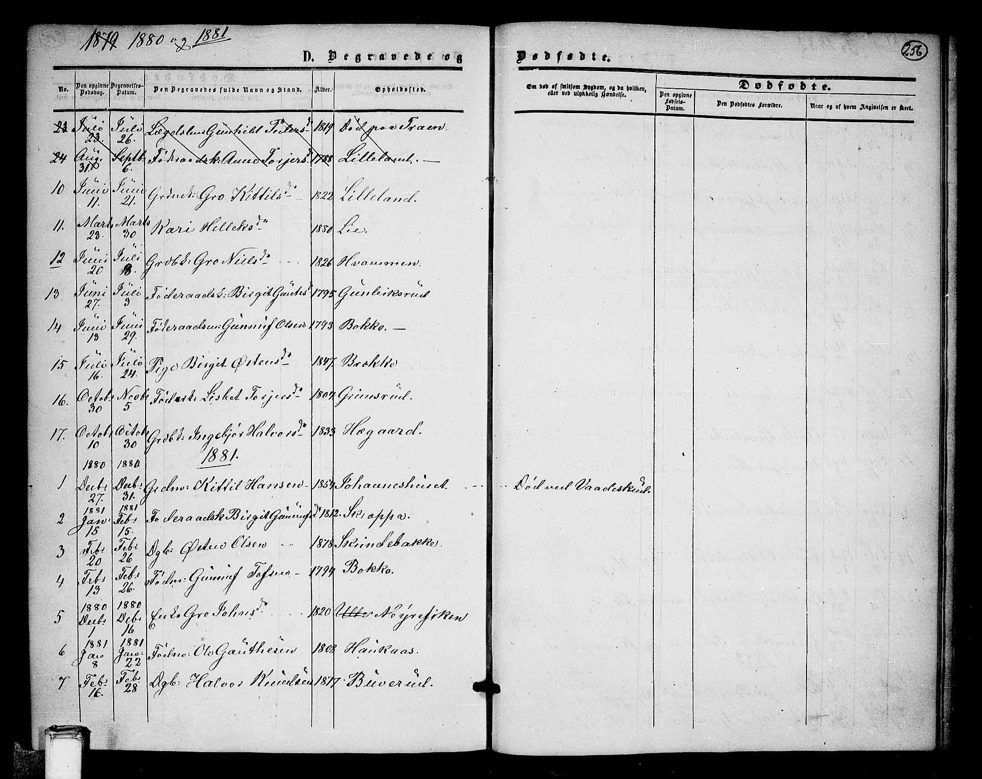 Tinn kirkebøker, SAKO/A-308/G/Ga/L0002: Parish register (copy) no. I 2, 1851-1883, p. 256