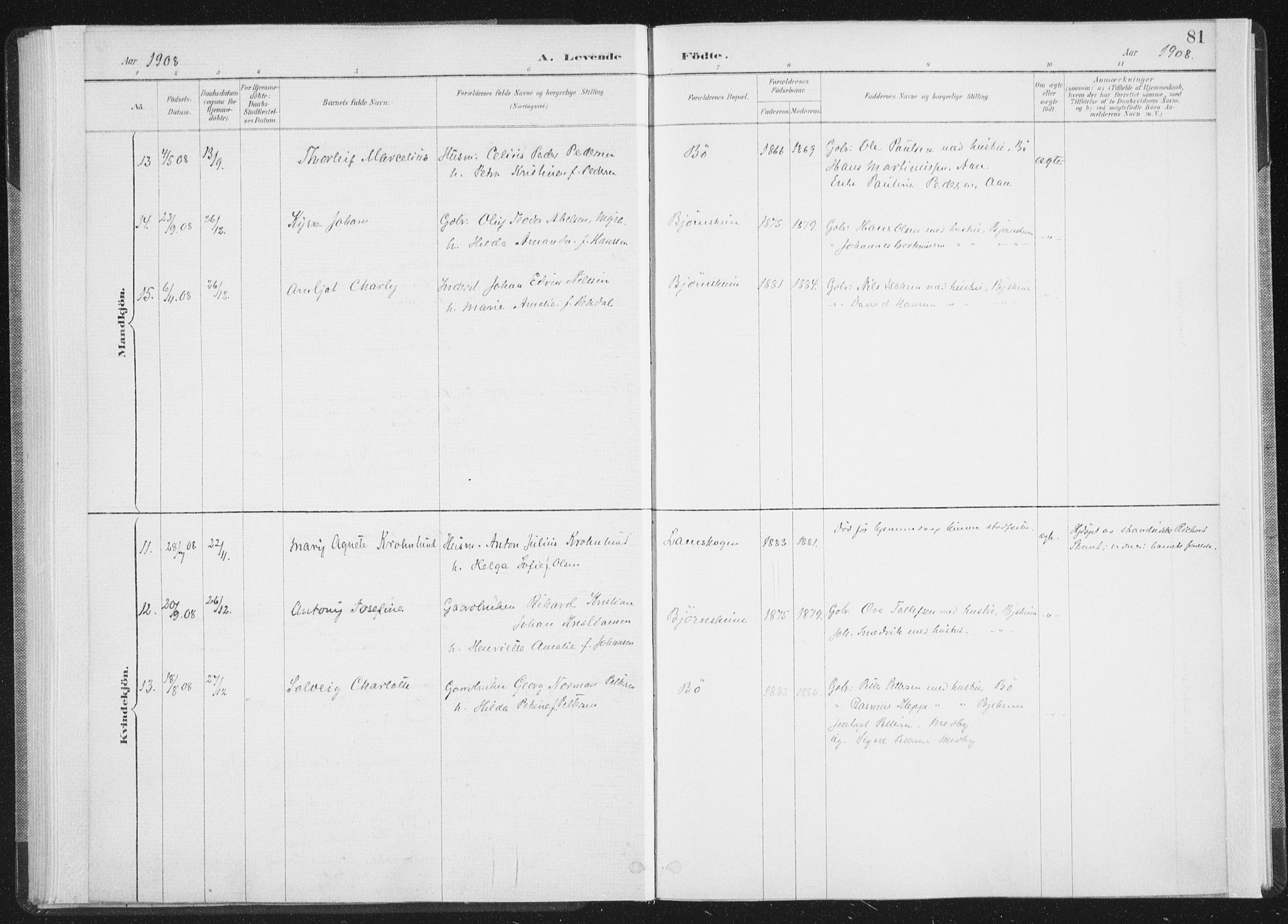 Ministerialprotokoller, klokkerbøker og fødselsregistre - Nordland, AV/SAT-A-1459/898/L1422: Parish register (official) no. 898A02, 1887-1908, p. 81