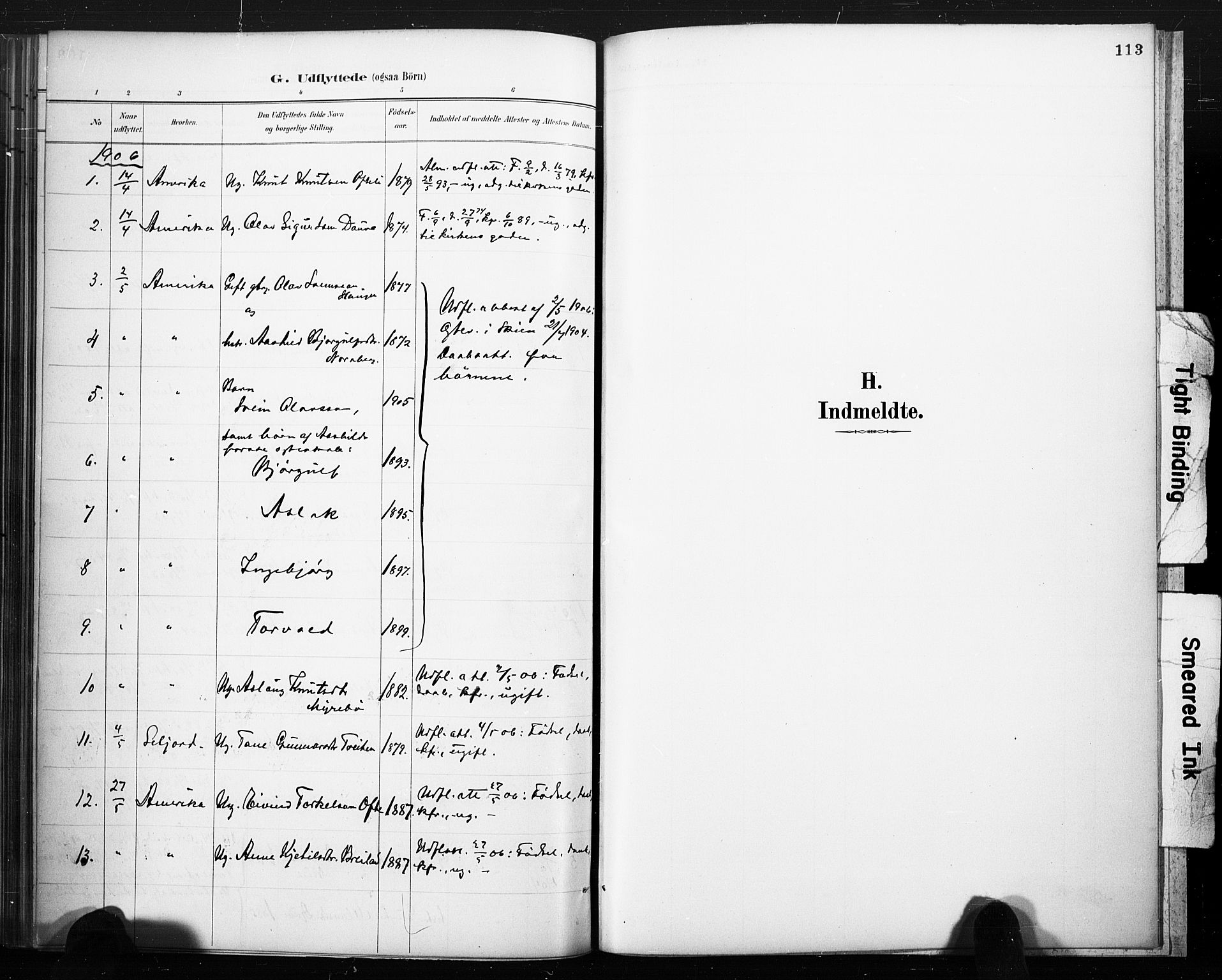 Lårdal kirkebøker, SAKO/A-284/F/Fc/L0002: Parish register (official) no. III 2, 1887-1906, p. 113