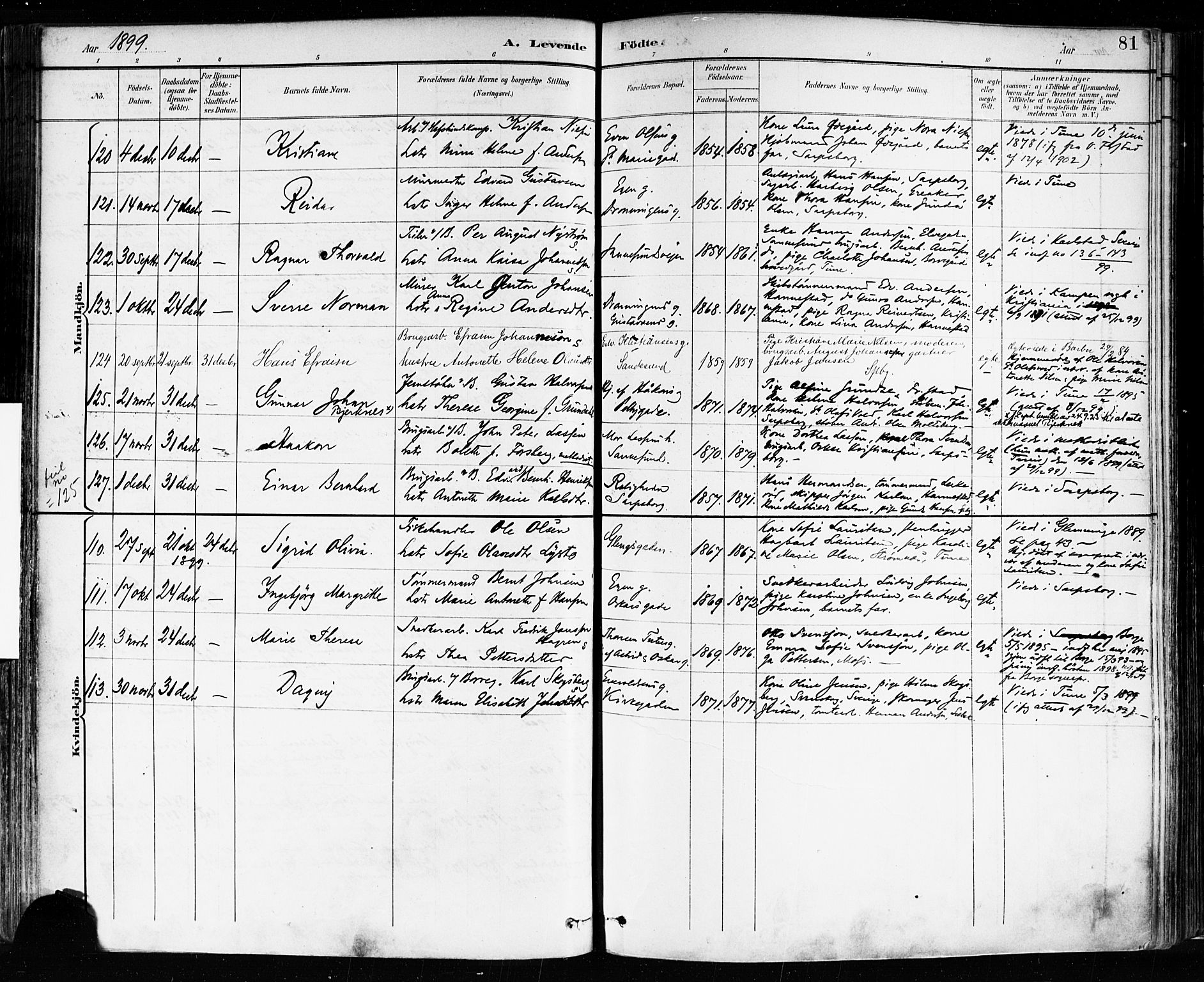 Sarpsborg prestekontor Kirkebøker, AV/SAO-A-2006/F/Fa/L0004: Parish register (official) no. 4, 1892-1899, p. 81