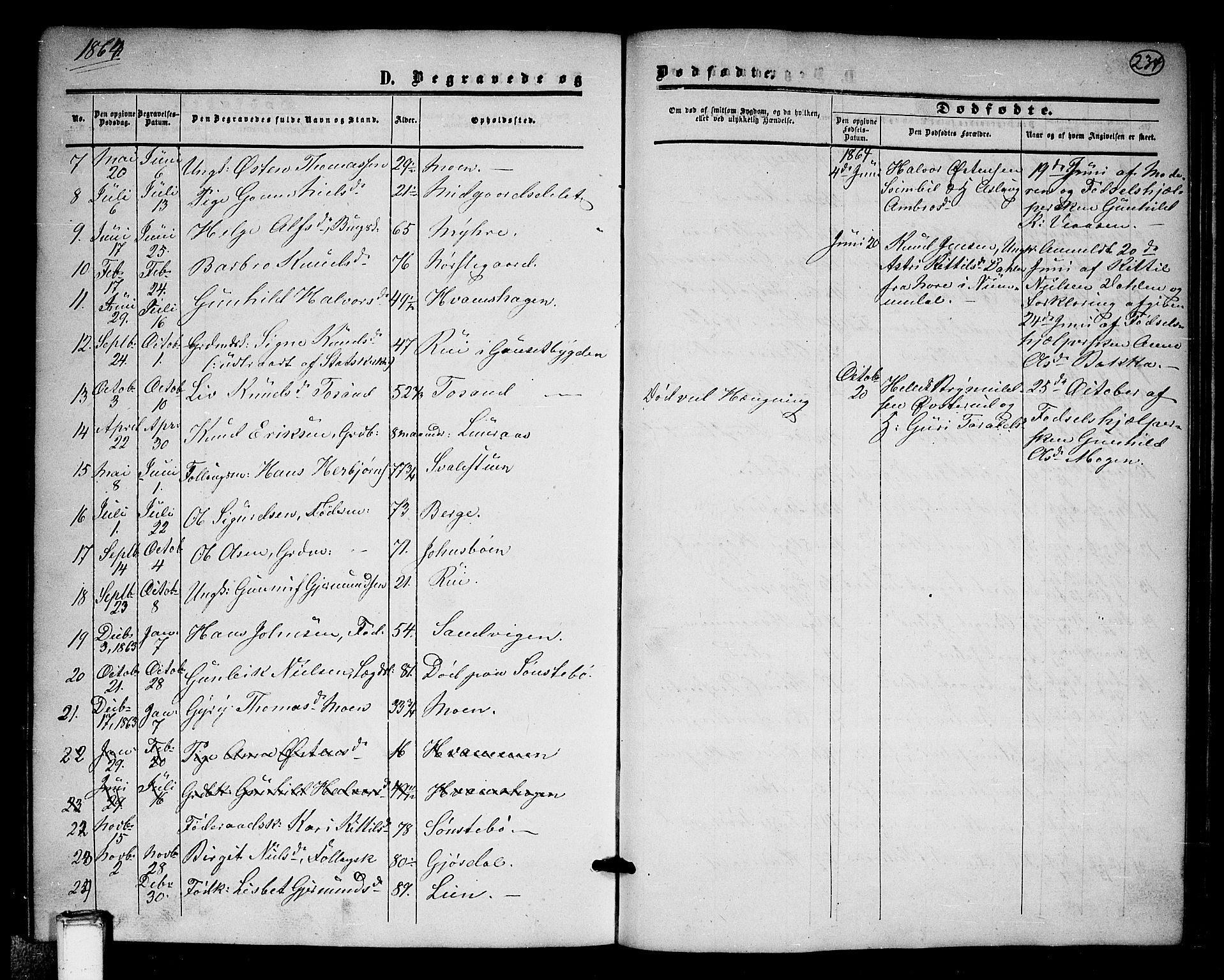 Tinn kirkebøker, SAKO/A-308/G/Ga/L0002: Parish register (copy) no. I 2, 1851-1883, p. 234