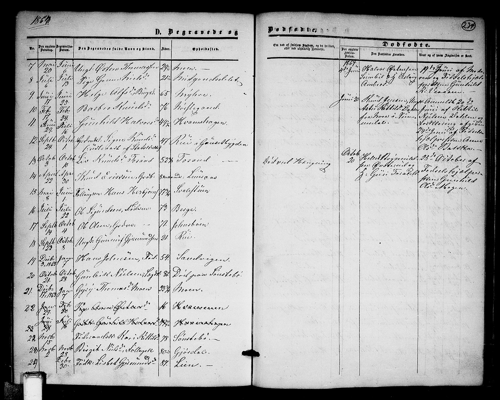 Tinn kirkebøker, AV/SAKO-A-308/G/Ga/L0002: Parish register (copy) no. I 2, 1851-1883, p. 234