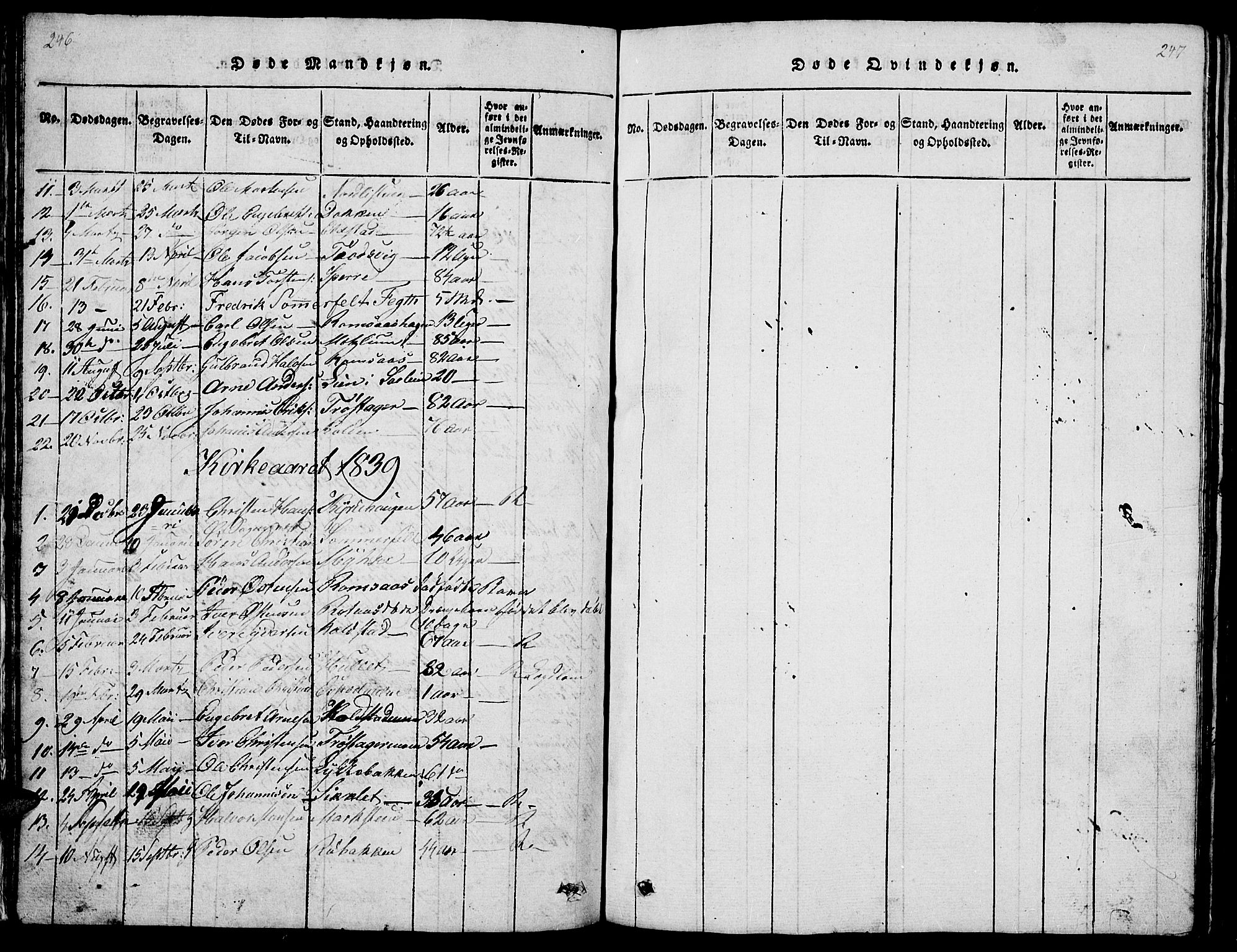 Ringebu prestekontor, AV/SAH-PREST-082/H/Ha/Hab/L0001: Parish register (copy) no. 1, 1821-1839, p. 246-247