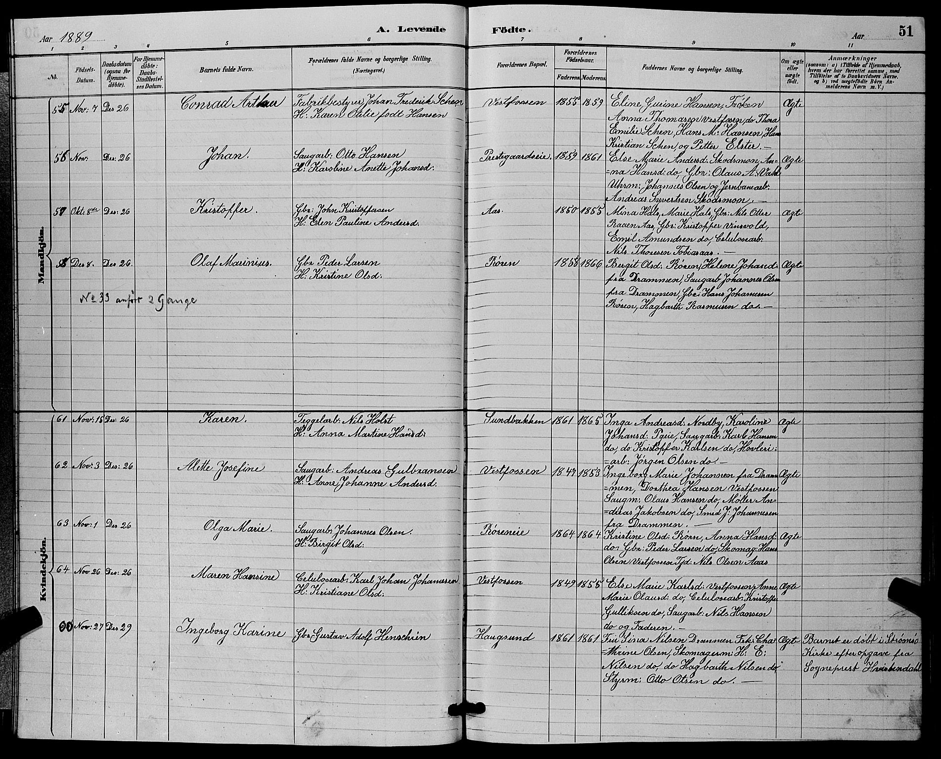 Eiker kirkebøker, SAKO/A-4/G/Ga/L0006: Parish register (copy) no. I 6, 1885-1893, p. 51