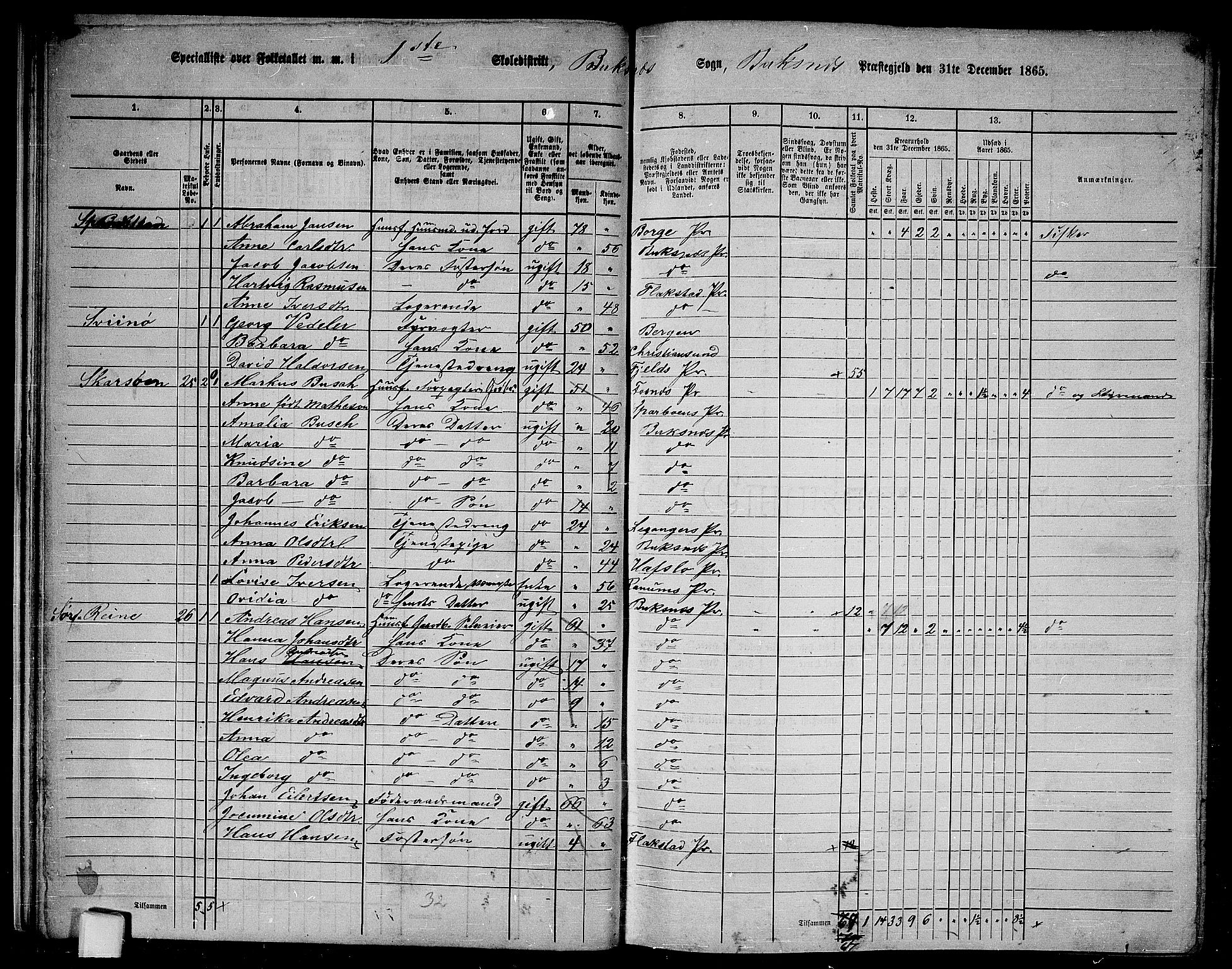 RA, 1865 census for Buksnes, 1865, p. 20