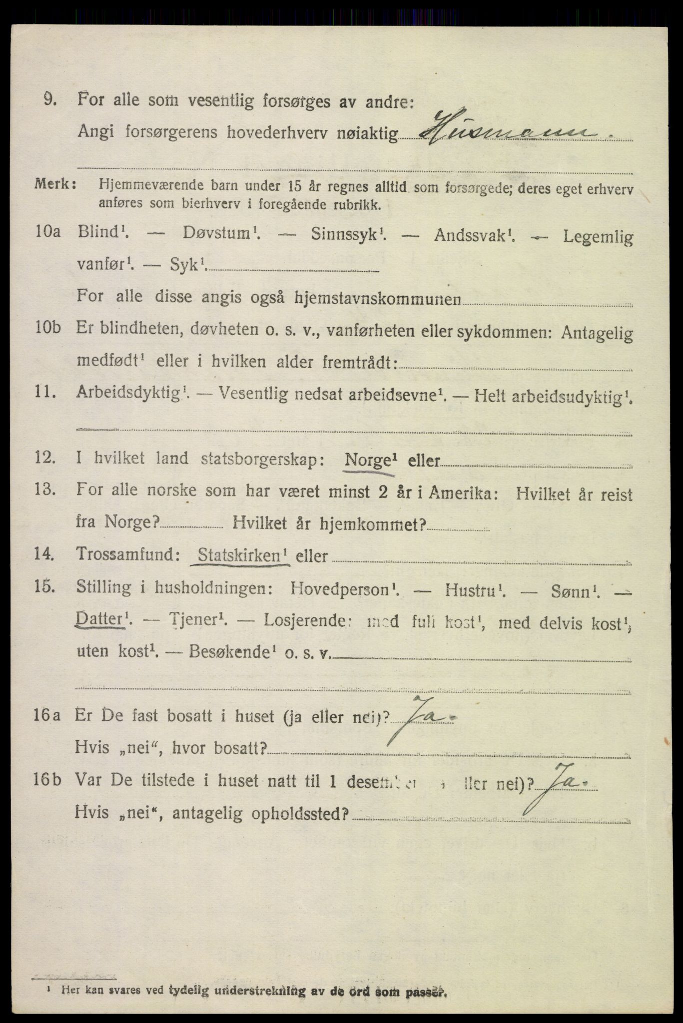 SAH, 1920 census for Skjåk, 1920, p. 1073