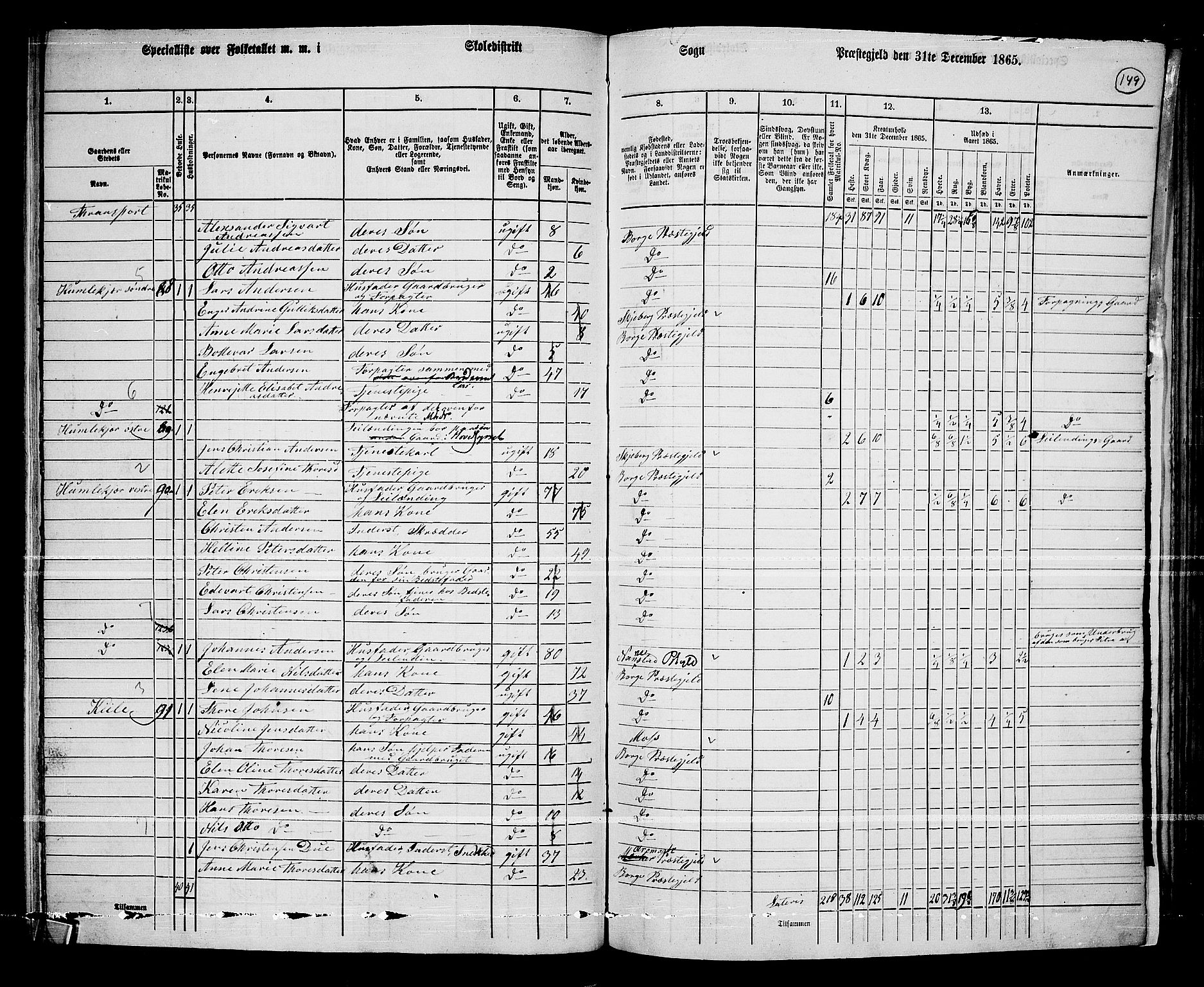 RA, 1865 census for Borge, 1865, p. 134