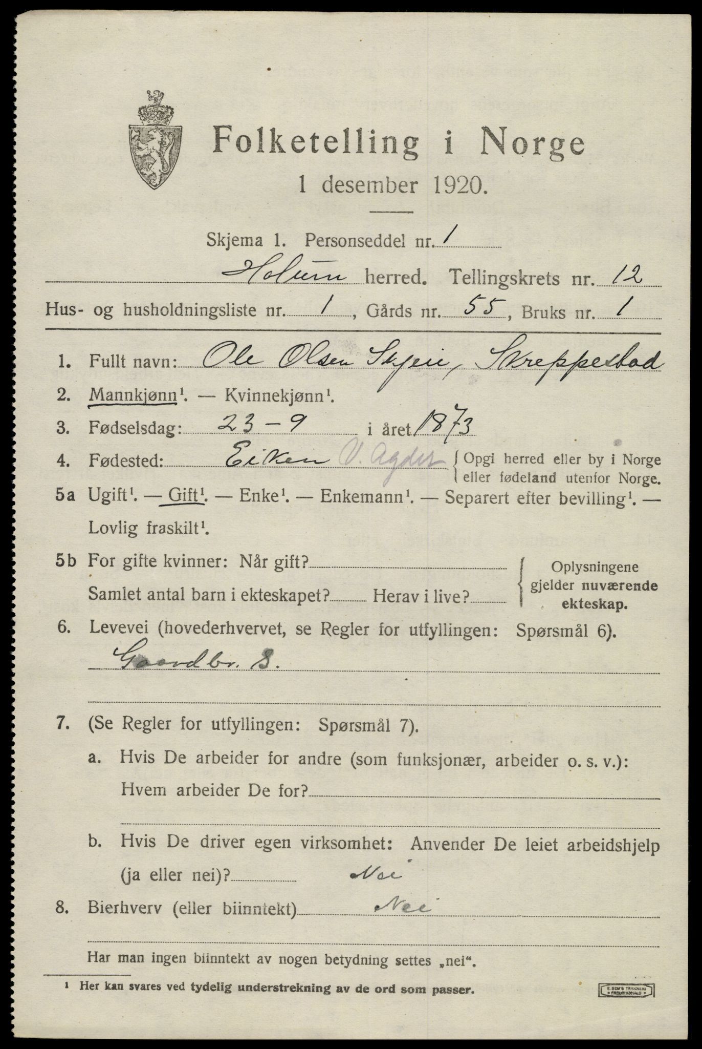 SAK, 1920 census for Holum, 1920, p. 3101