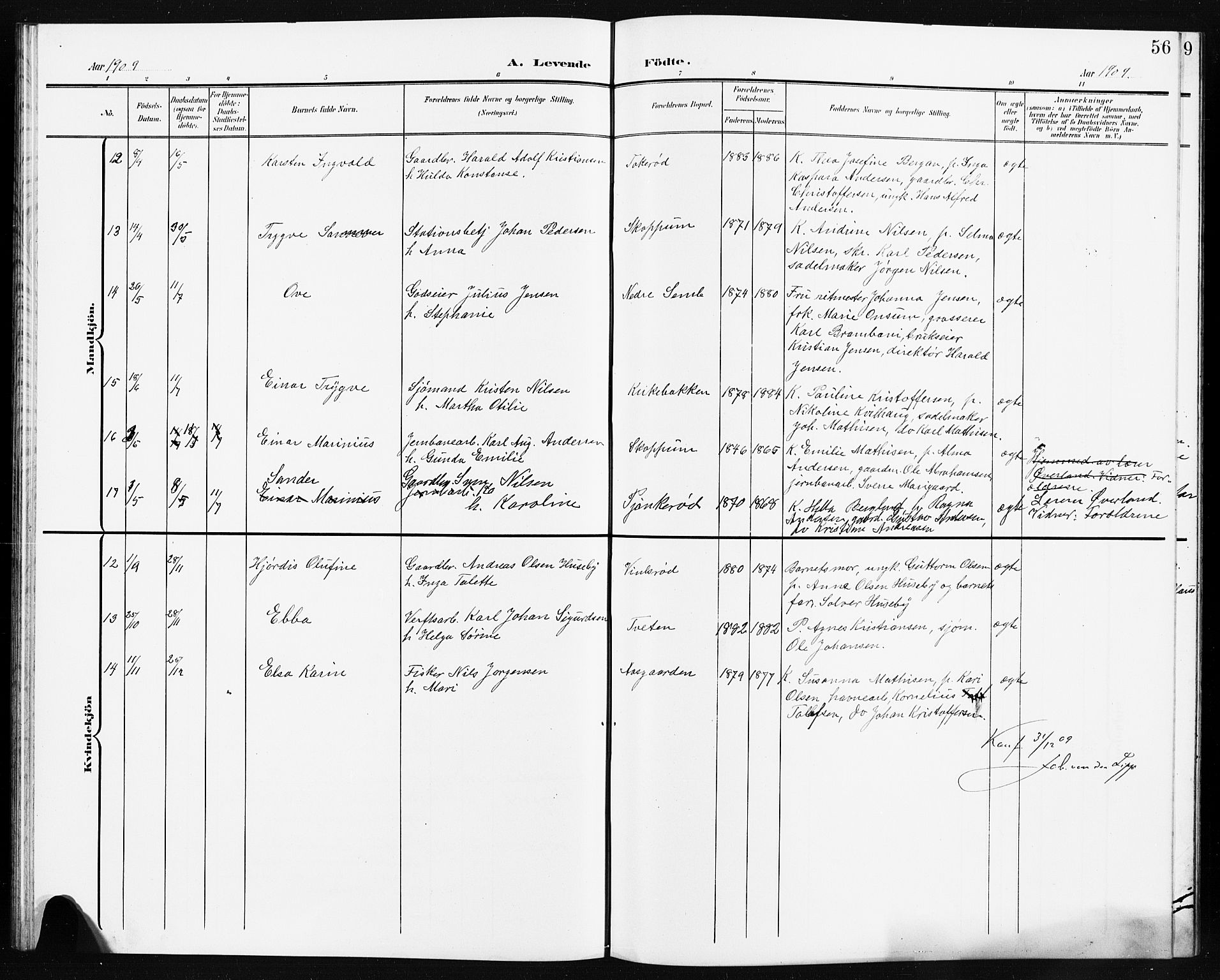 Borre kirkebøker, AV/SAKO-A-338/G/Ga/L0005: Parish register (copy) no. I 5, 1898-1910, p. 56