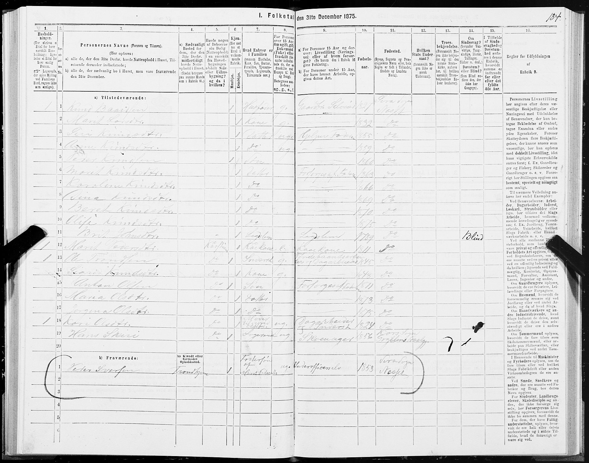 SAT, 1875 census for 1543P Nesset, 1875, p. 3134