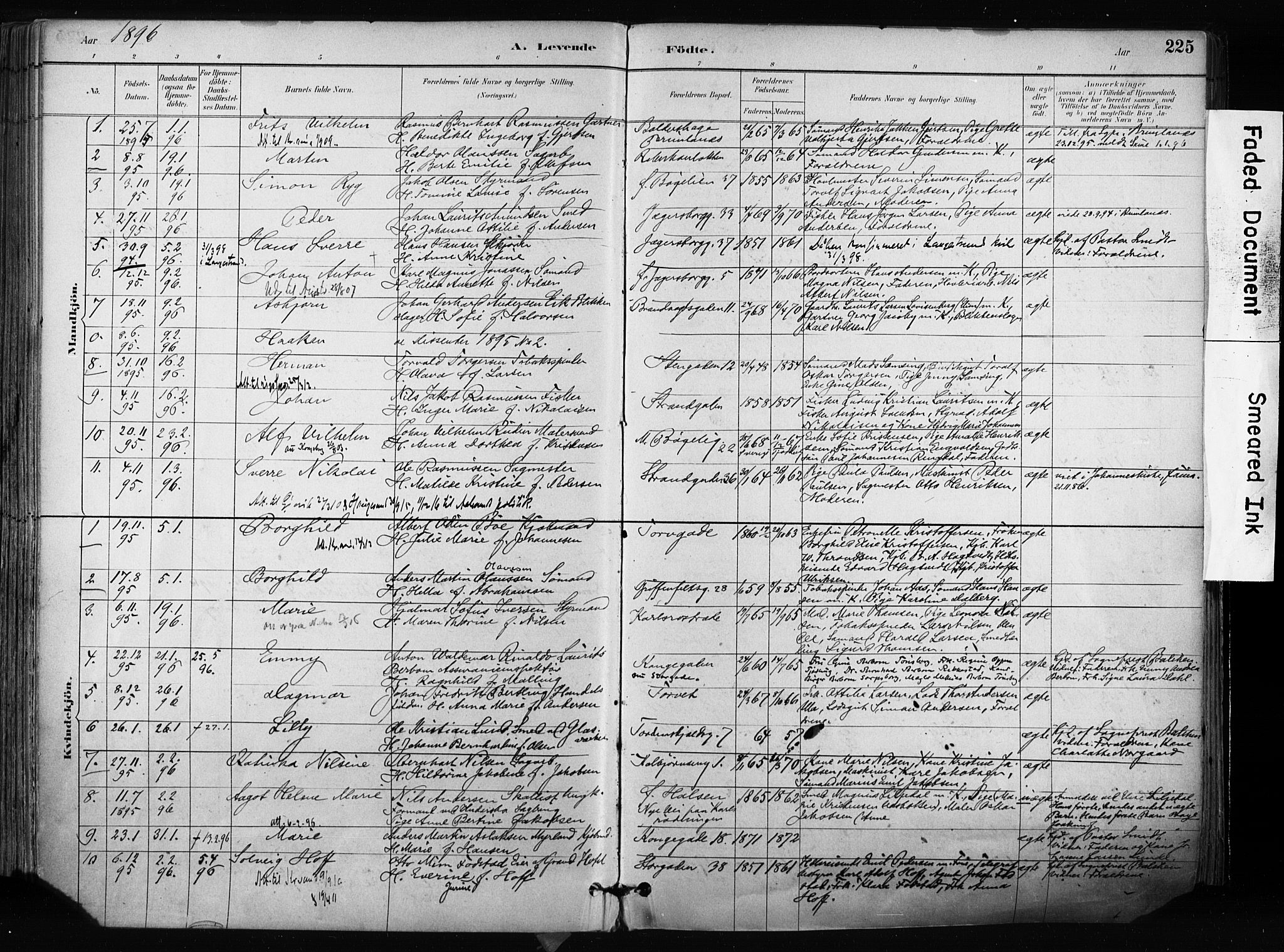 Larvik kirkebøker, SAKO/A-352/F/Fa/L0009: Parish register (official) no. I 9, 1884-1904, p. 225