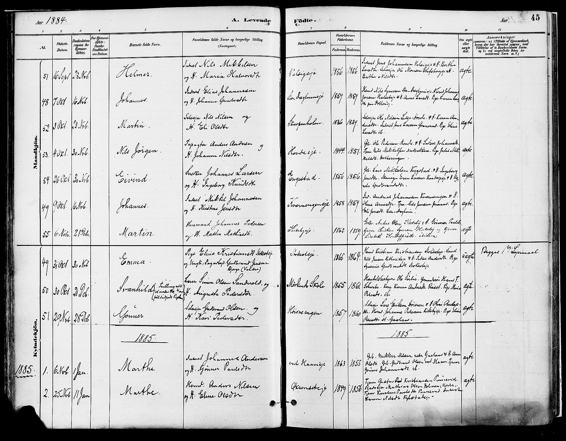 Vang prestekontor, Hedmark, SAH/PREST-008/H/Ha/Haa/L0018A: Parish register (official) no. 18A, 1880-1906, p. 45