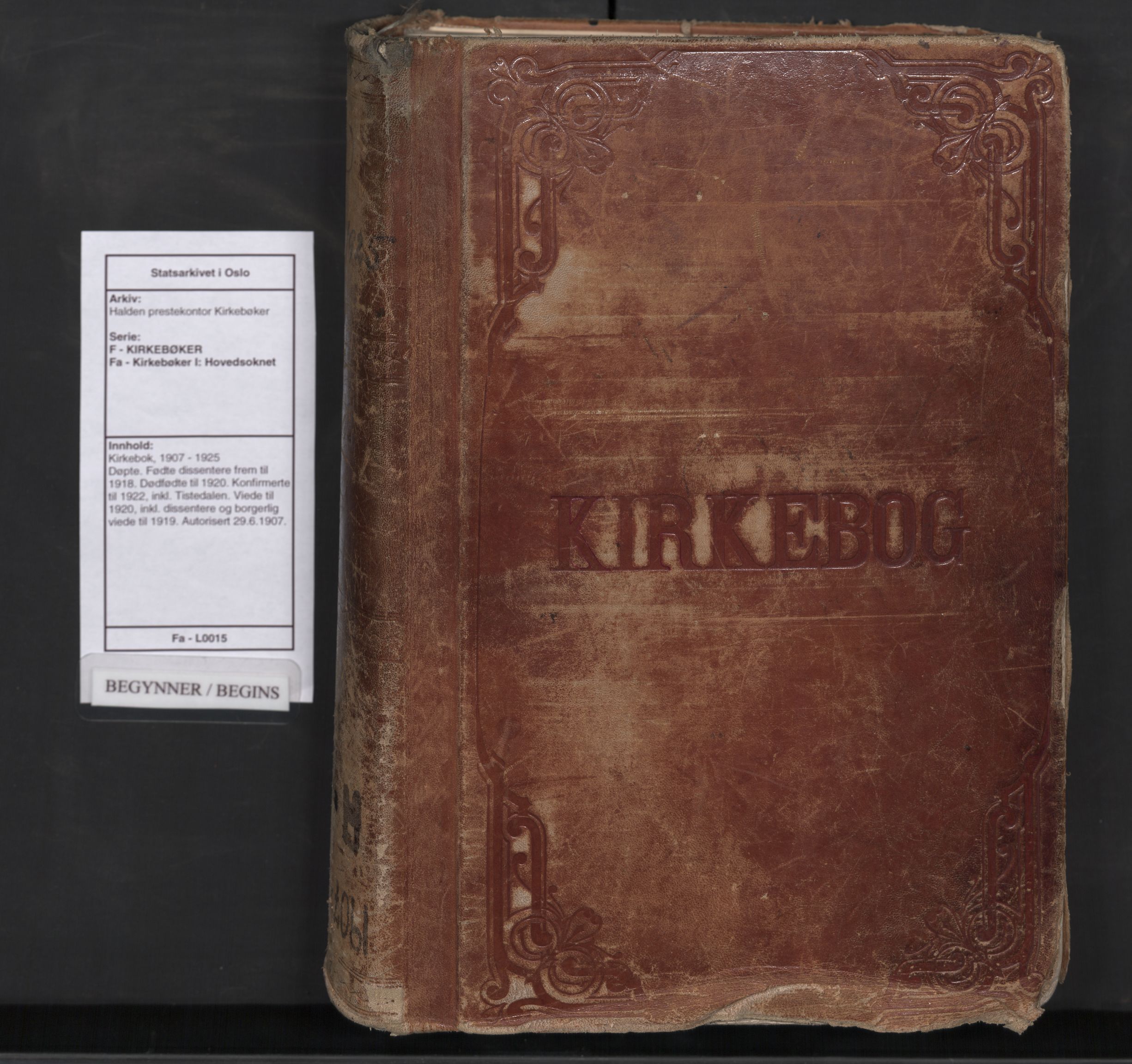 Halden prestekontor Kirkebøker, AV/SAO-A-10909/F/Fa/L0015: Parish register (official) no. I 15, 1907-1925