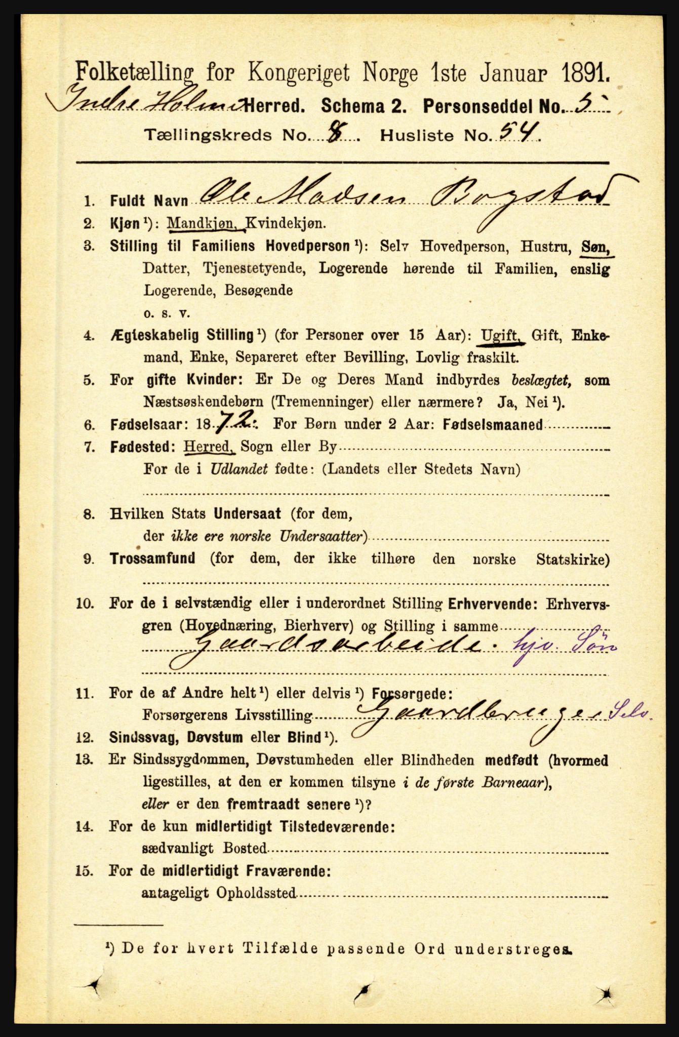 RA, 1891 census for 1430 Indre Holmedal, 1891, p. 3737