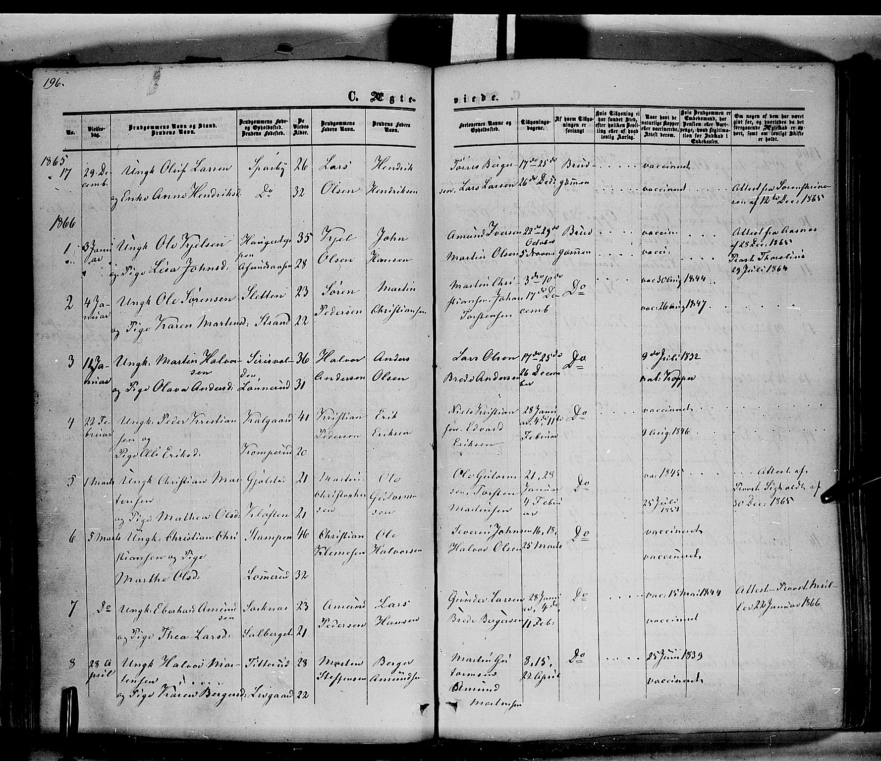 Hof prestekontor, SAH/PREST-038/H/Ha/Haa/L0009: Parish register (official) no. 9, 1862-1877, p. 196