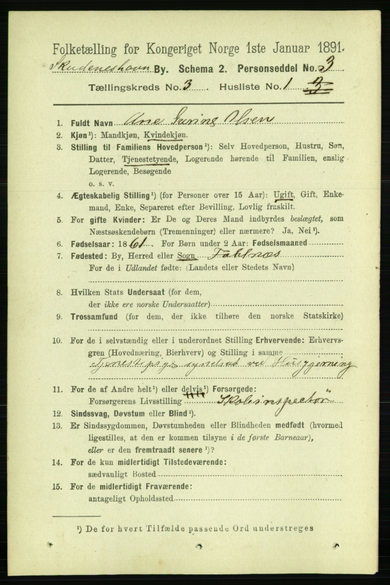 RA, 1891 census for 1104 Skudeneshavn, 1891, p. 967