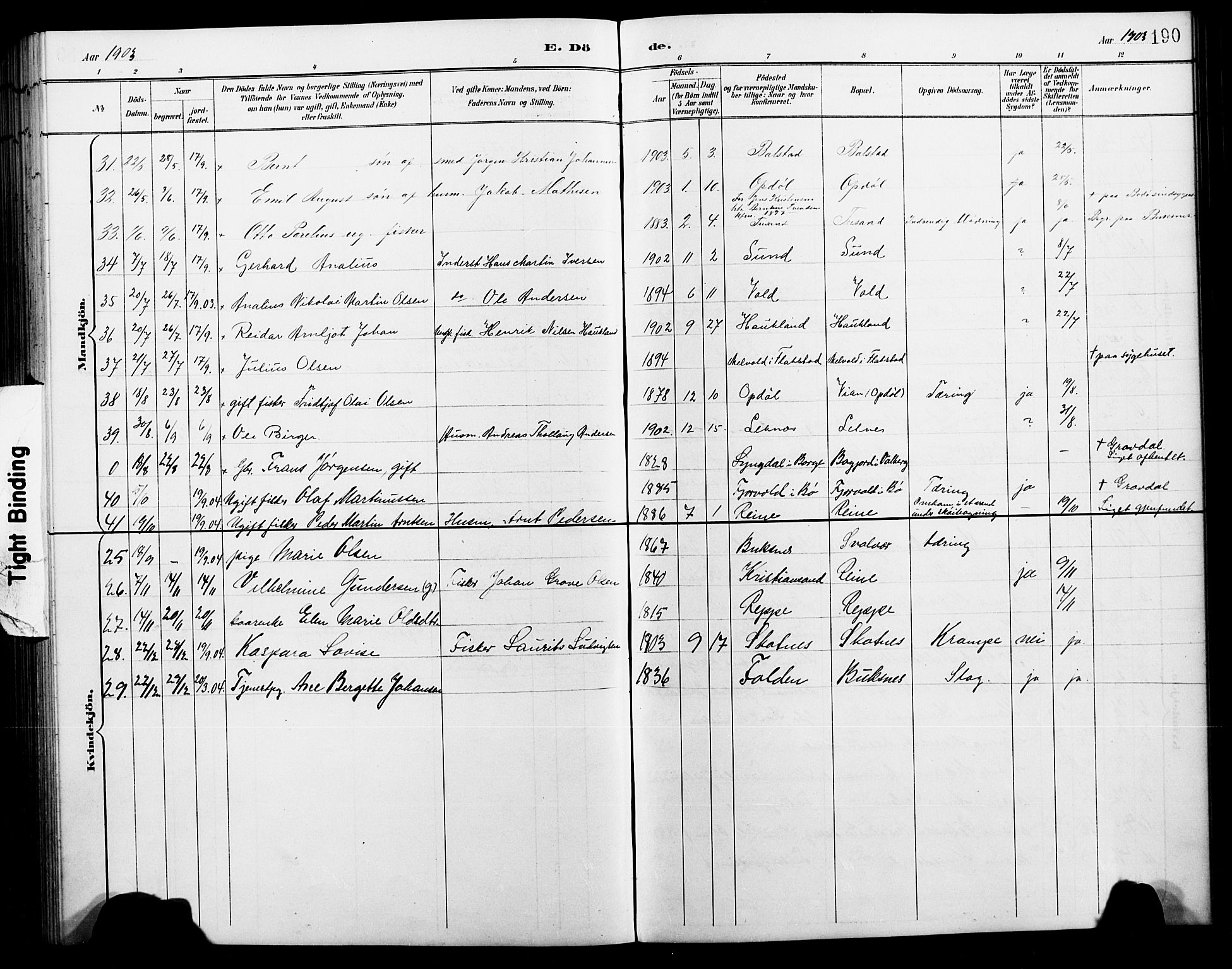 Ministerialprotokoller, klokkerbøker og fødselsregistre - Nordland, AV/SAT-A-1459/881/L1168: Parish register (copy) no. 881C05, 1900-1911, p. 190