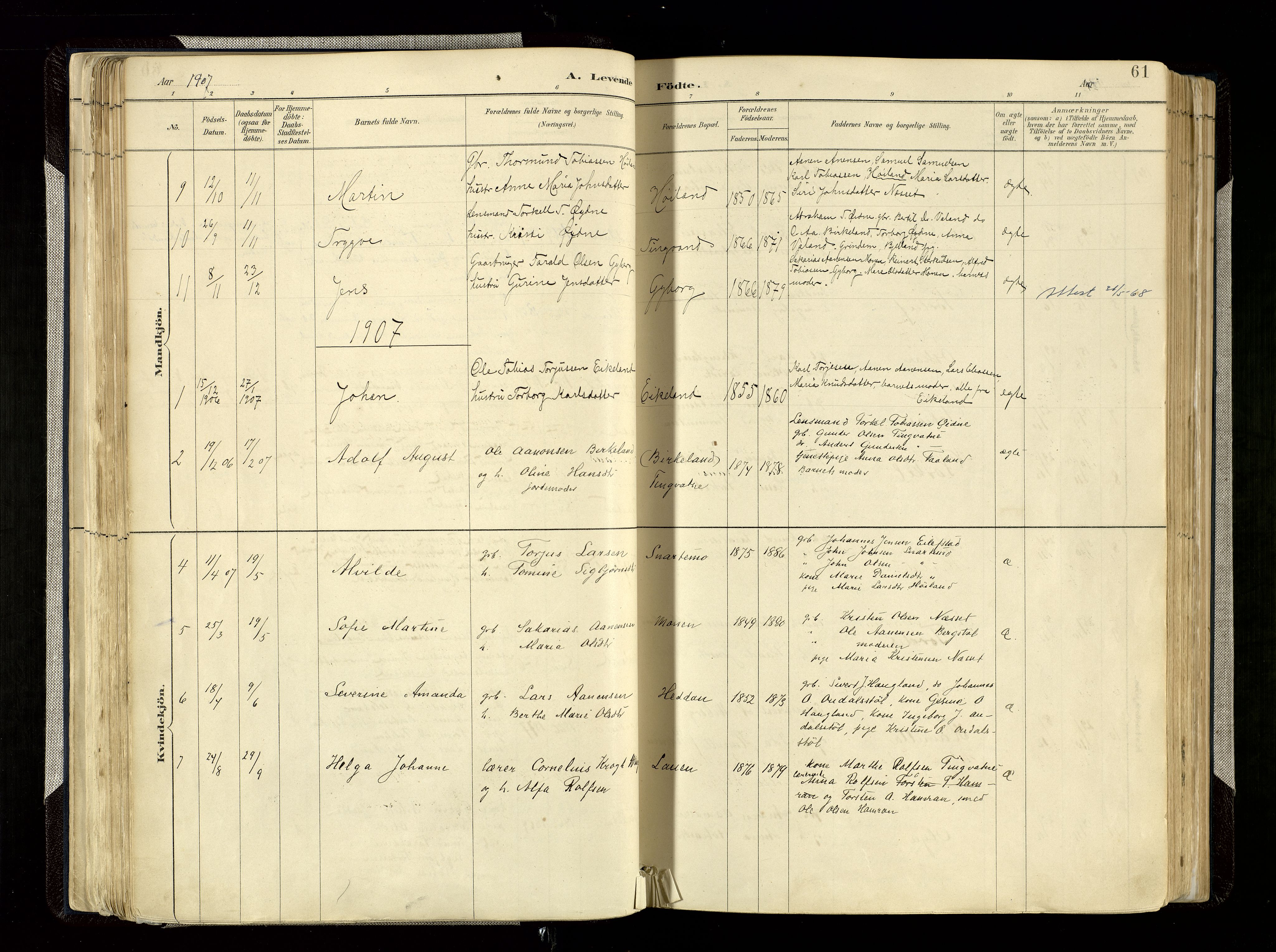Hægebostad sokneprestkontor, SAK/1111-0024/F/Fa/Faa/L0006: Parish register (official) no. A 6, 1887-1929, p. 61
