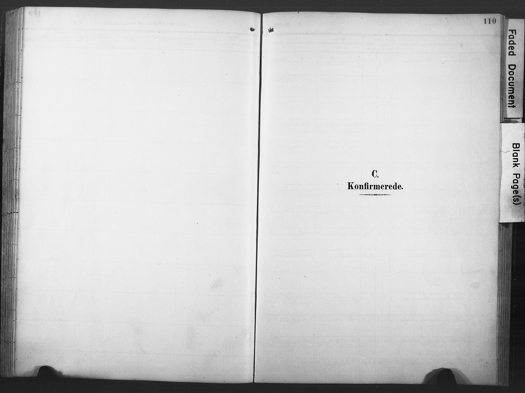 Ministerialprotokoller, klokkerbøker og fødselsregistre - Nord-Trøndelag, SAT/A-1458/789/L0706: Parish register (copy) no. 789C01, 1888-1931, p. 110