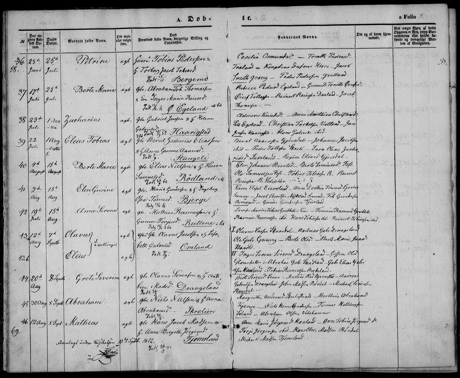 Lyngdal sokneprestkontor, AV/SAK-1111-0029/F/Fa/Fac/L0009: Parish register (official) no. A 9, 1852-1864, p. 8