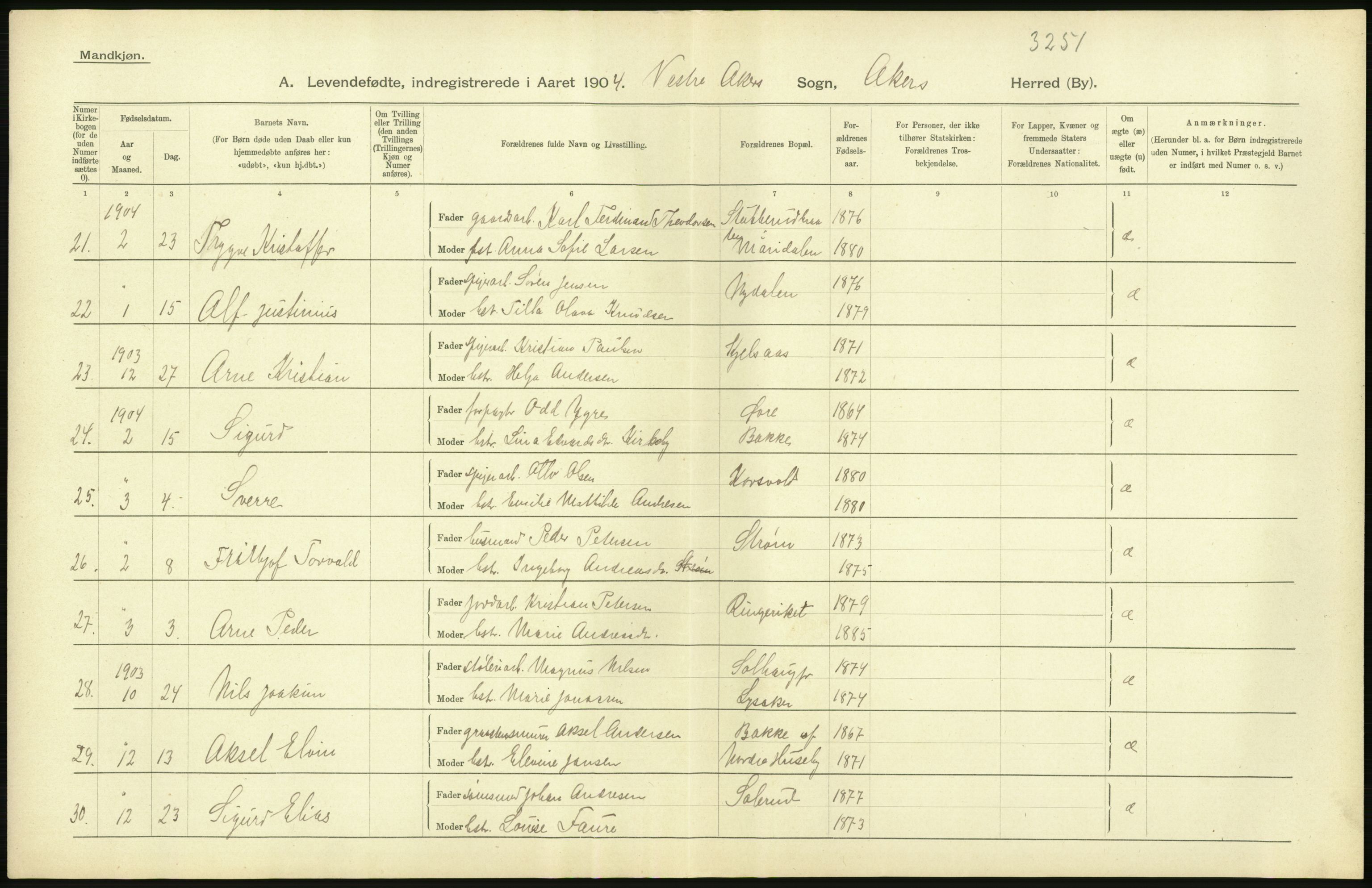 Statistisk sentralbyrå, Sosiodemografiske emner, Befolkning, AV/RA-S-2228/D/Df/Dfa/Dfab/L0002: Akershus amt: Fødte, gifte, døde, 1904, p. 424