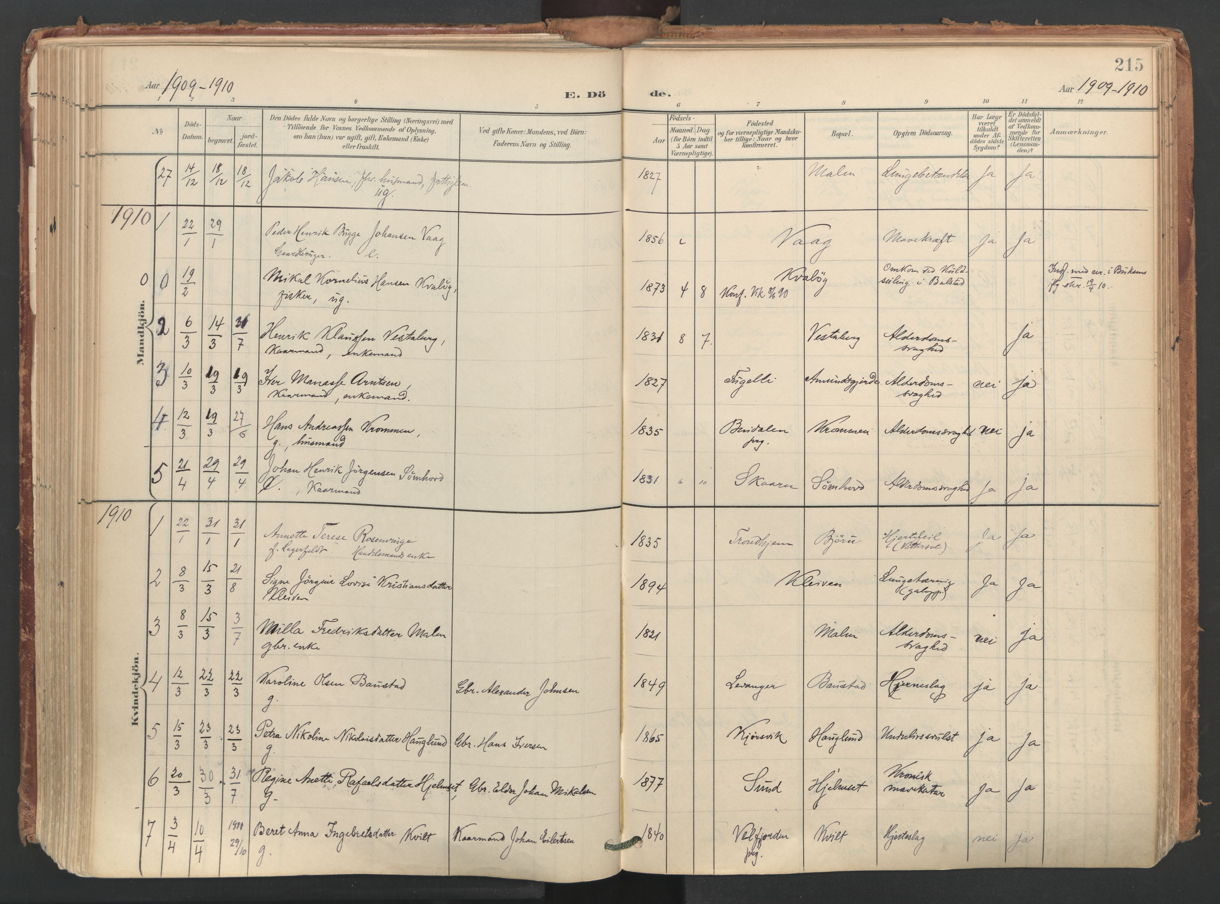 Ministerialprotokoller, klokkerbøker og fødselsregistre - Nordland, SAT/A-1459/812/L0180: Parish register (official) no. 812A09, 1901-1915, p. 215