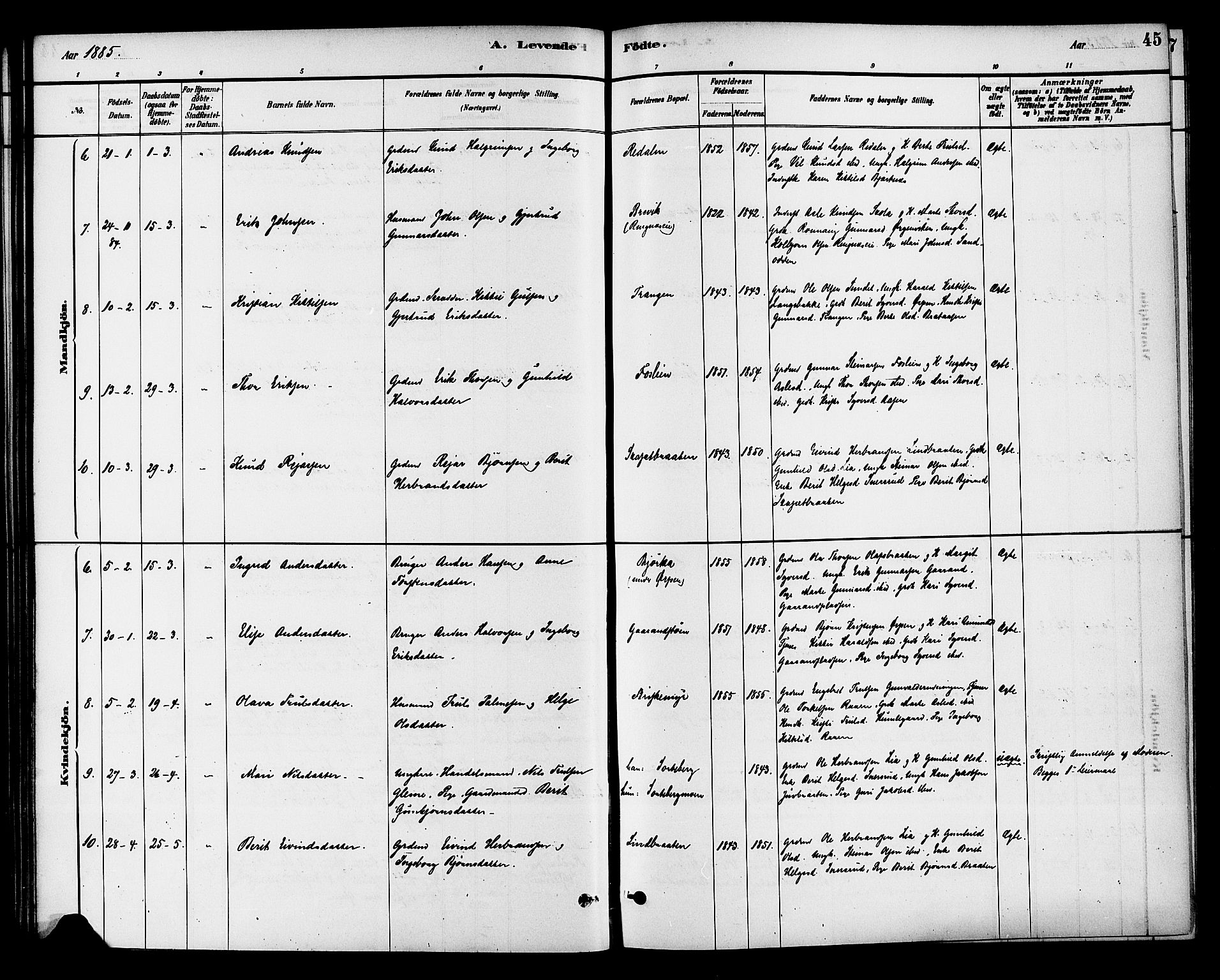 Krødsherad kirkebøker, AV/SAKO-A-19/G/Ga/L0001: Parish register (copy) no. 1, 1879-1893, p. 45